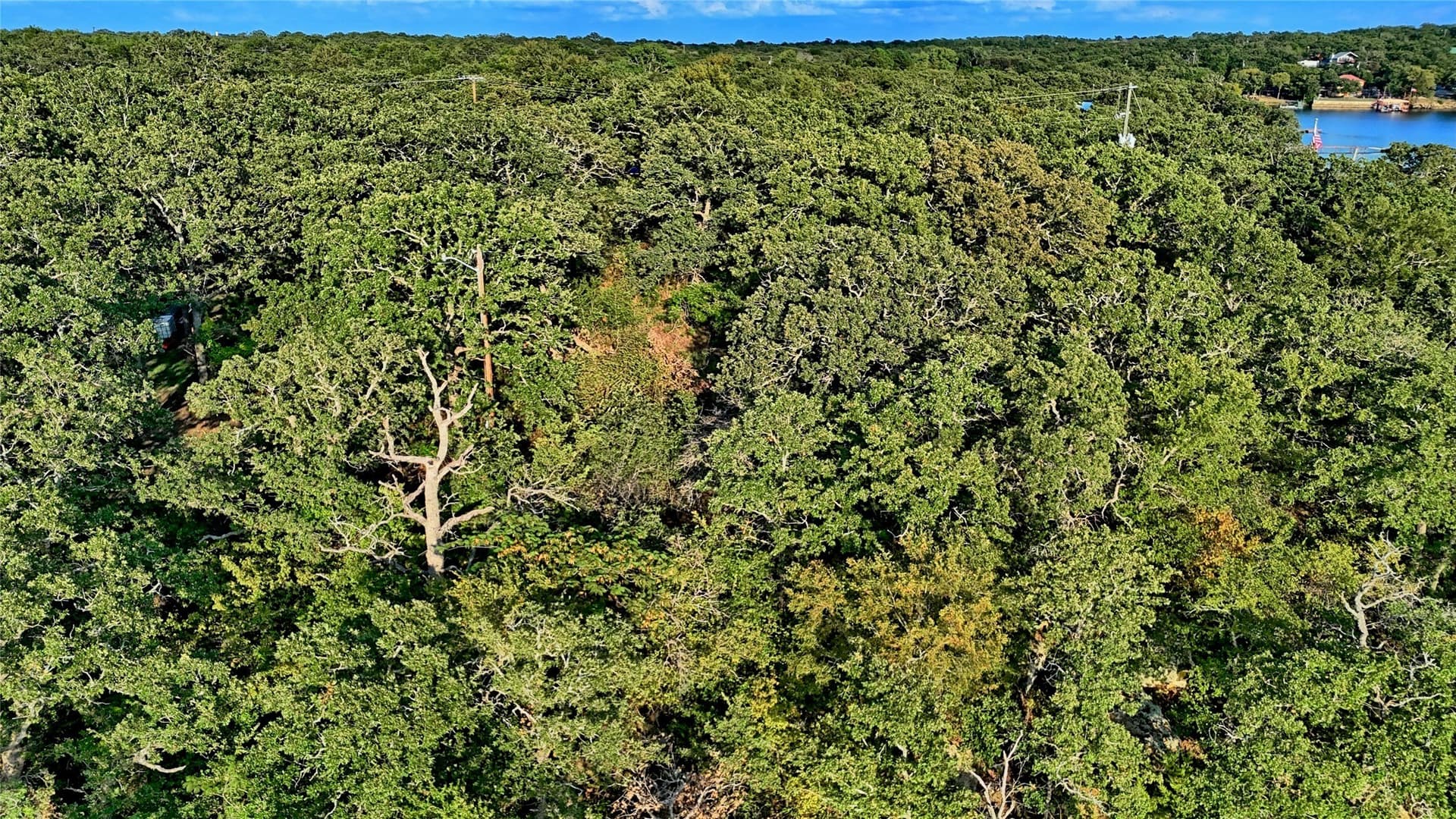 1.17 acres in Montague County - photo 13