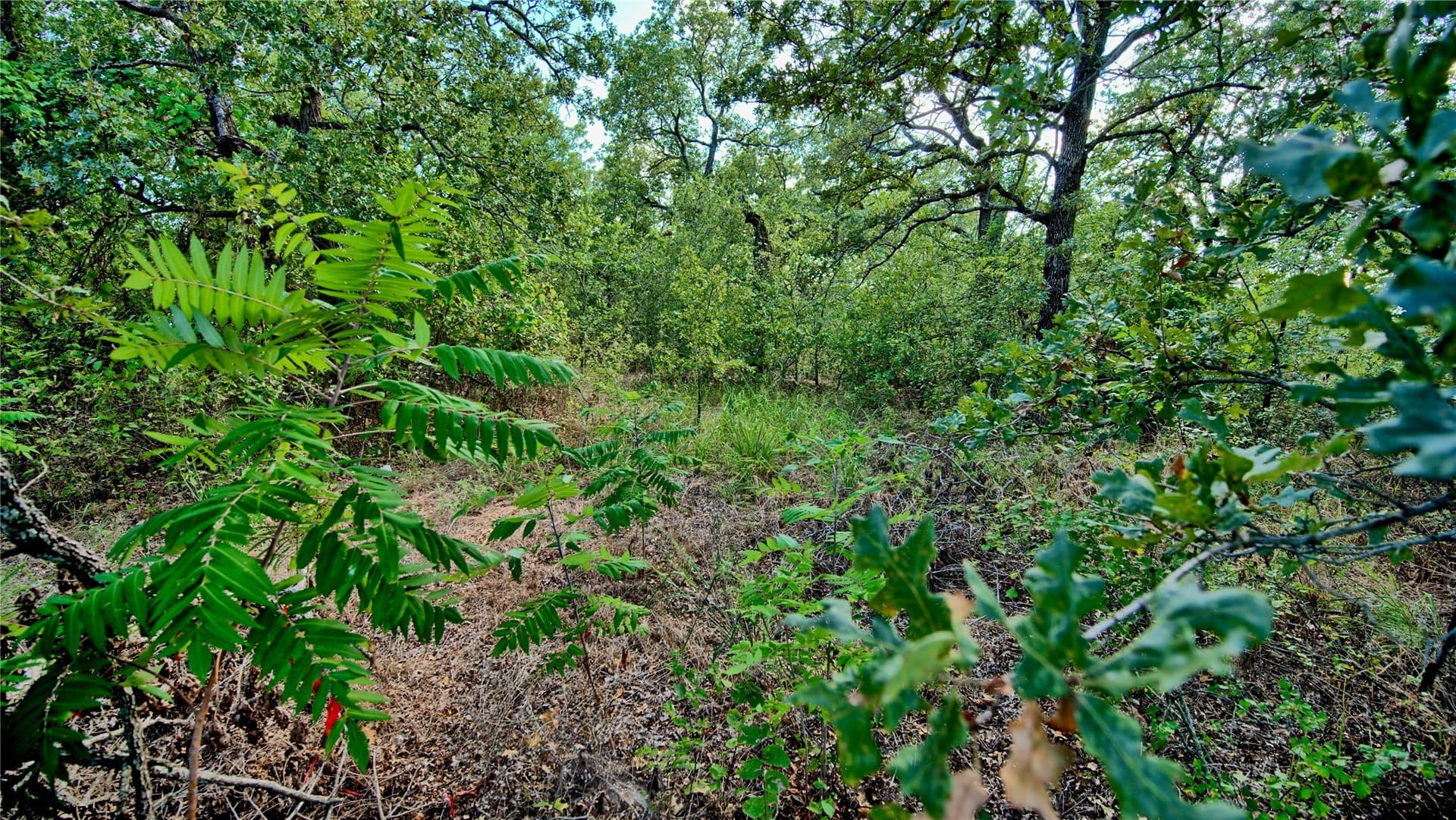 1.17 acres in Montague County - photo 8