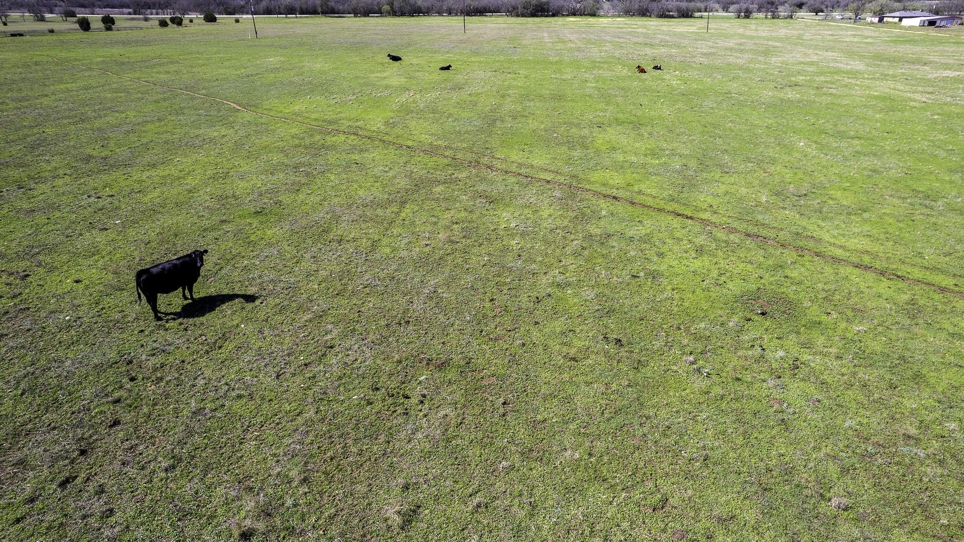 47.42 acres in Erath County - photo 7