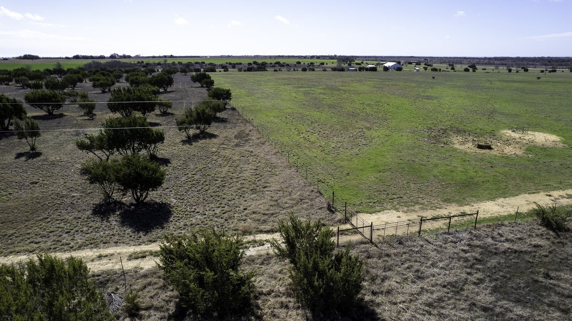 47.42 acres in Erath County - photo 13