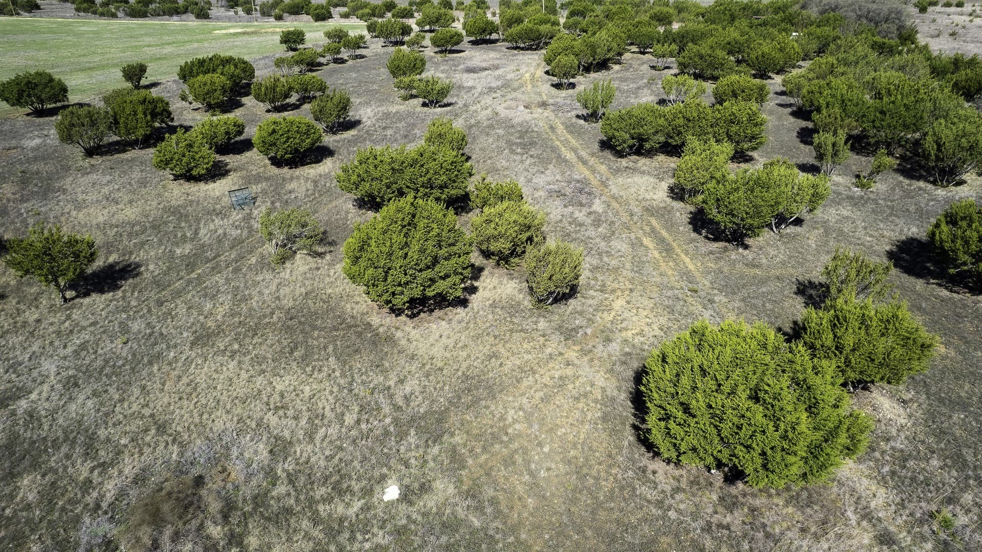47.42 acres in Erath County - photo 17