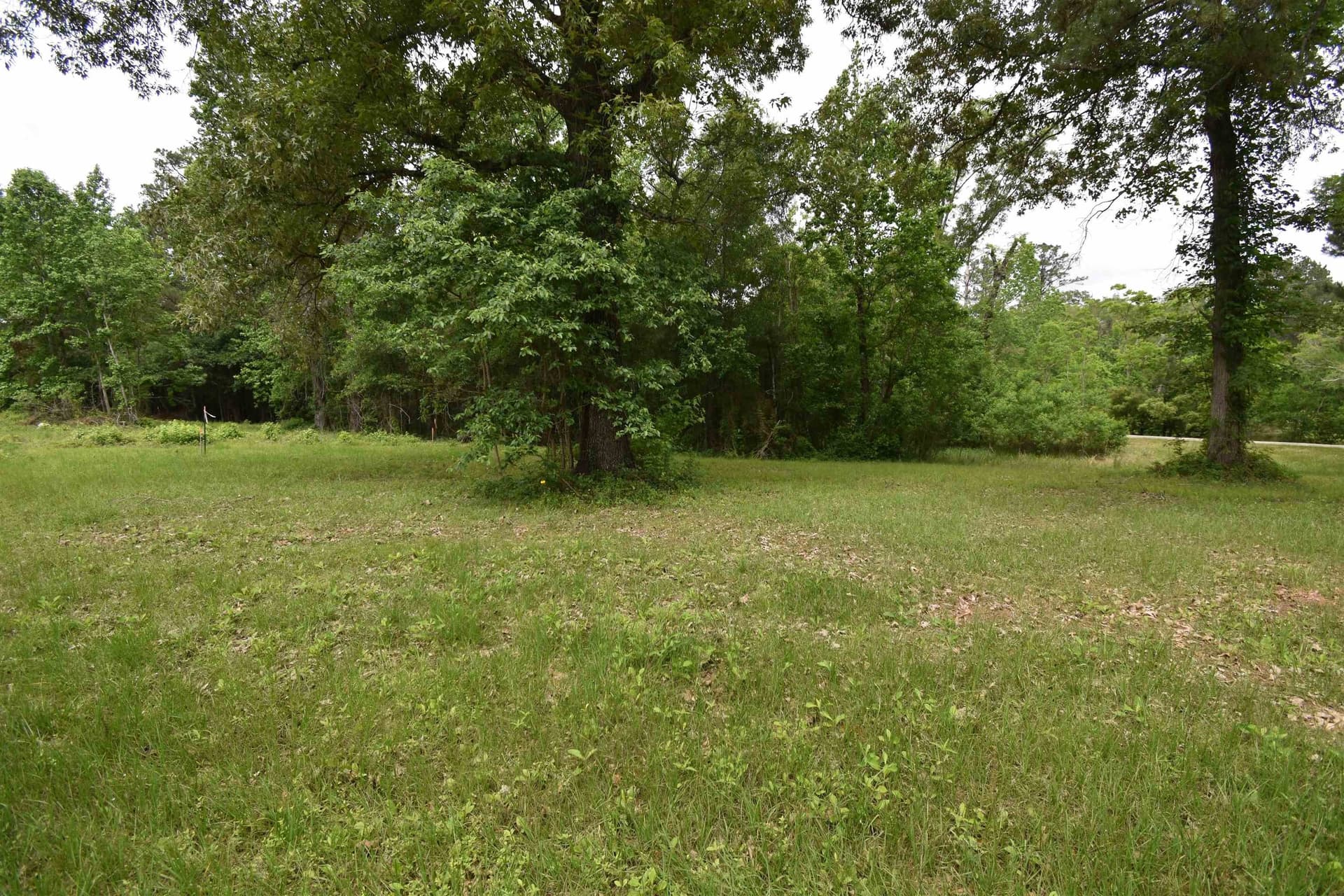 0.51 acres in Texas County