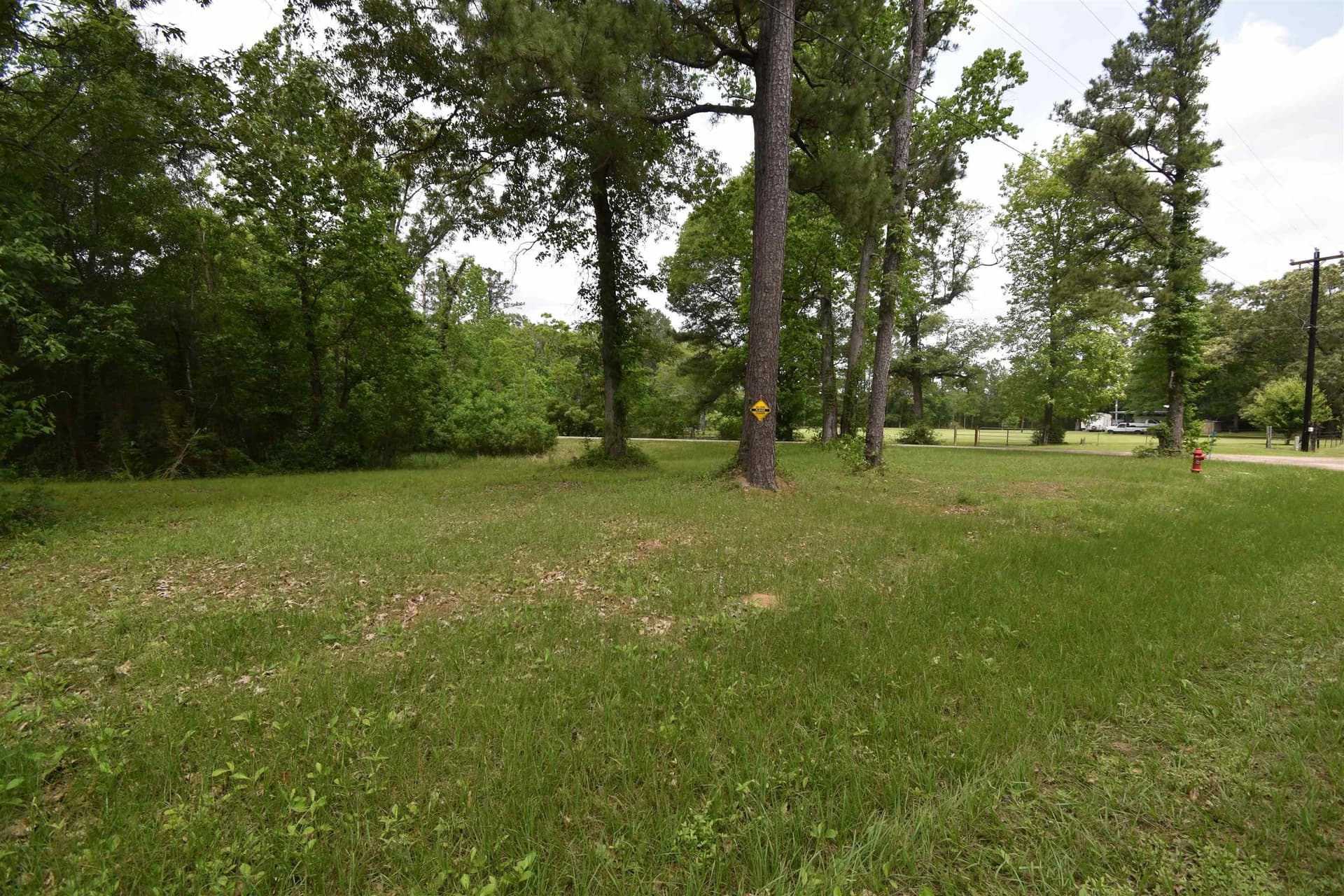 0.51 acres in Texas County gallery image 3