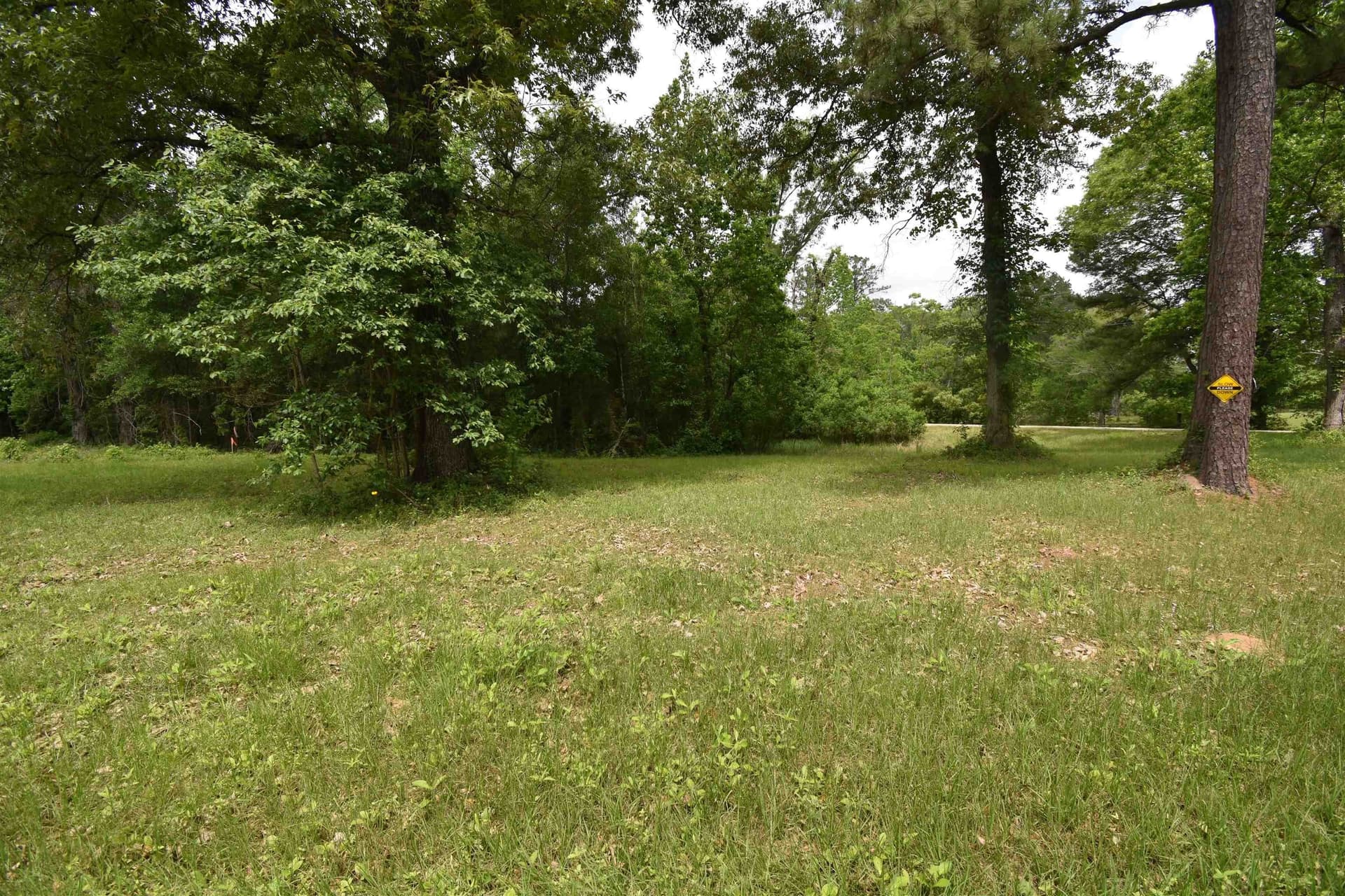 0.51 acres in Texas County gallery image 2