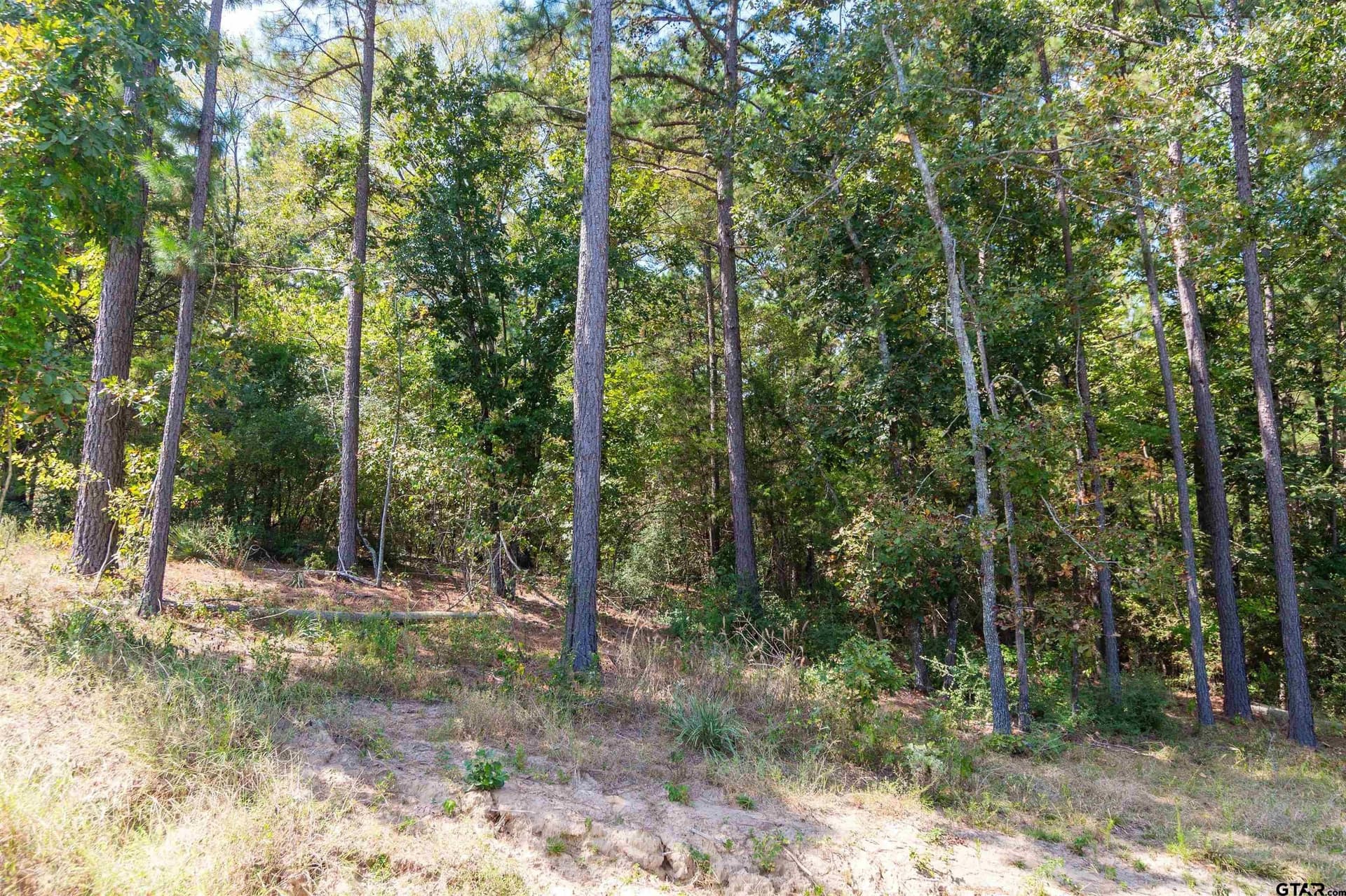 10.01 acres in Wood County featured view