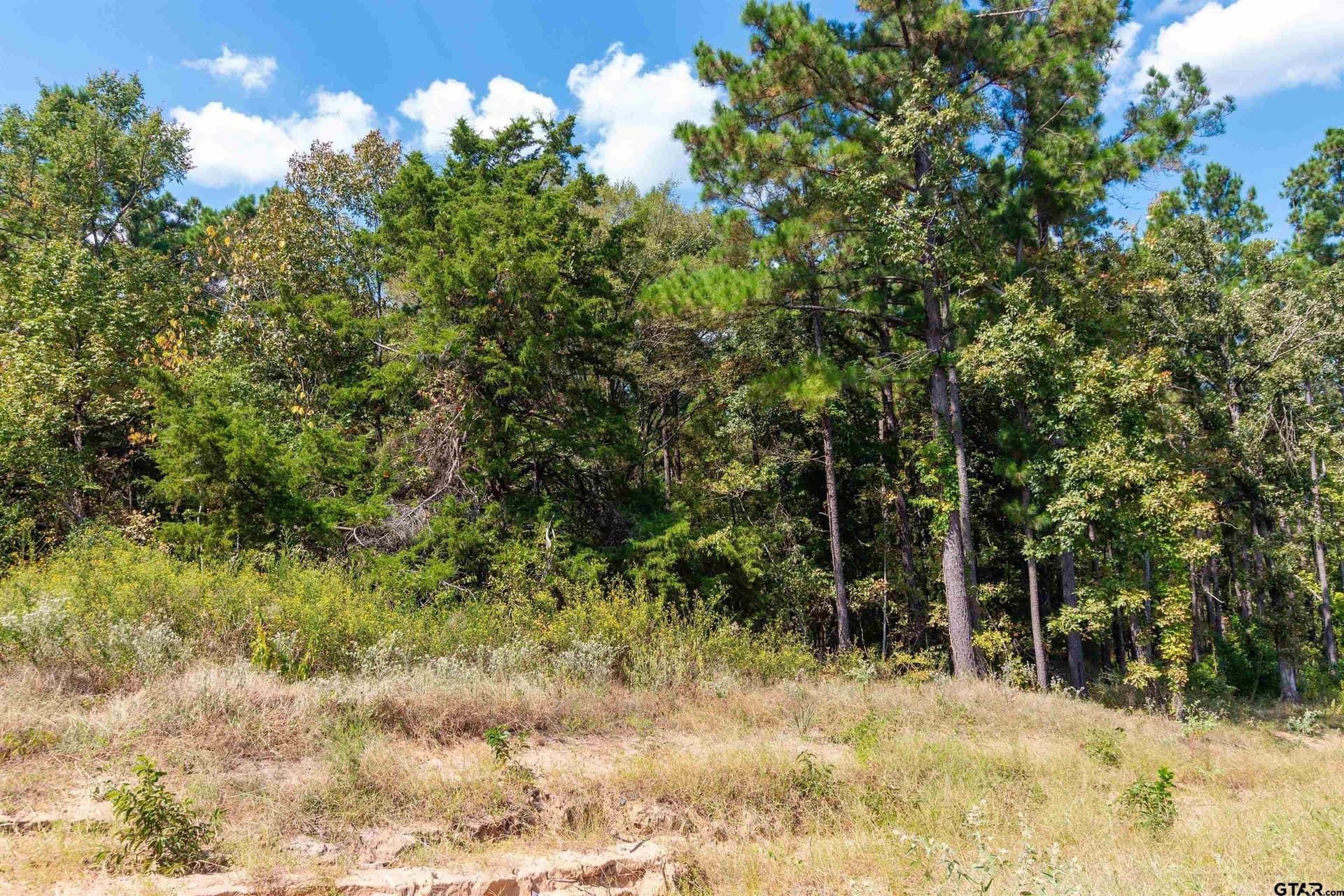 10.01 acres in Wood County