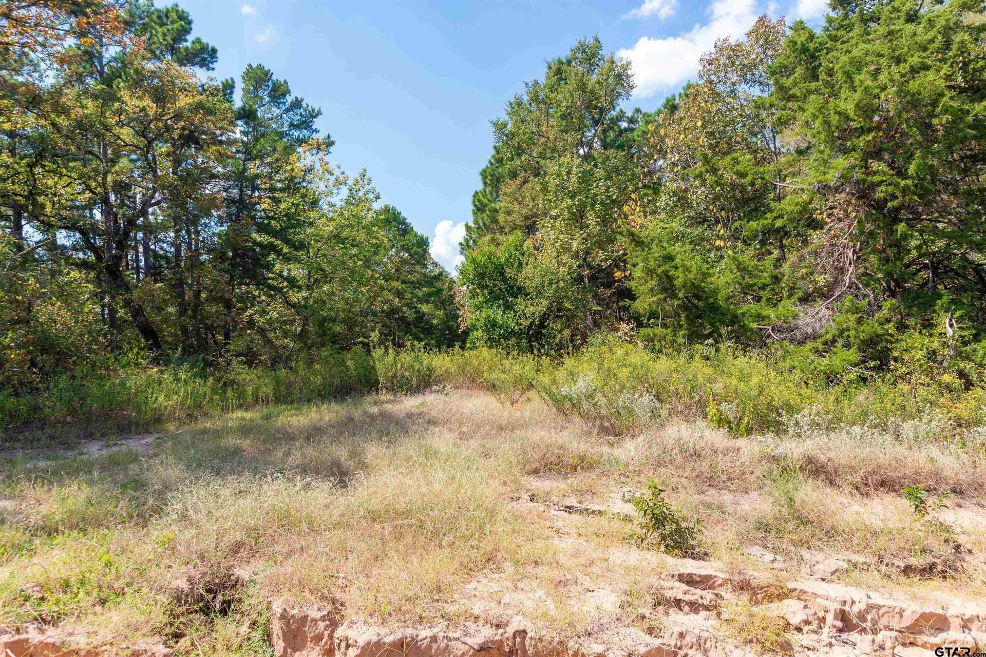 10.01 acres in Wood County gallery image 3