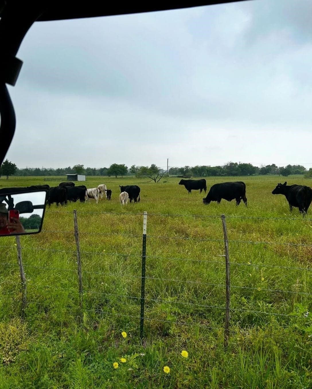 119.71 acres in Ellis County - photo 4
