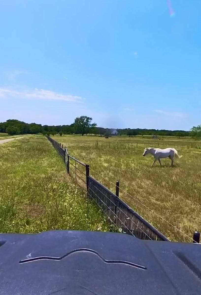 119.71 acres in Ellis County - photo 9