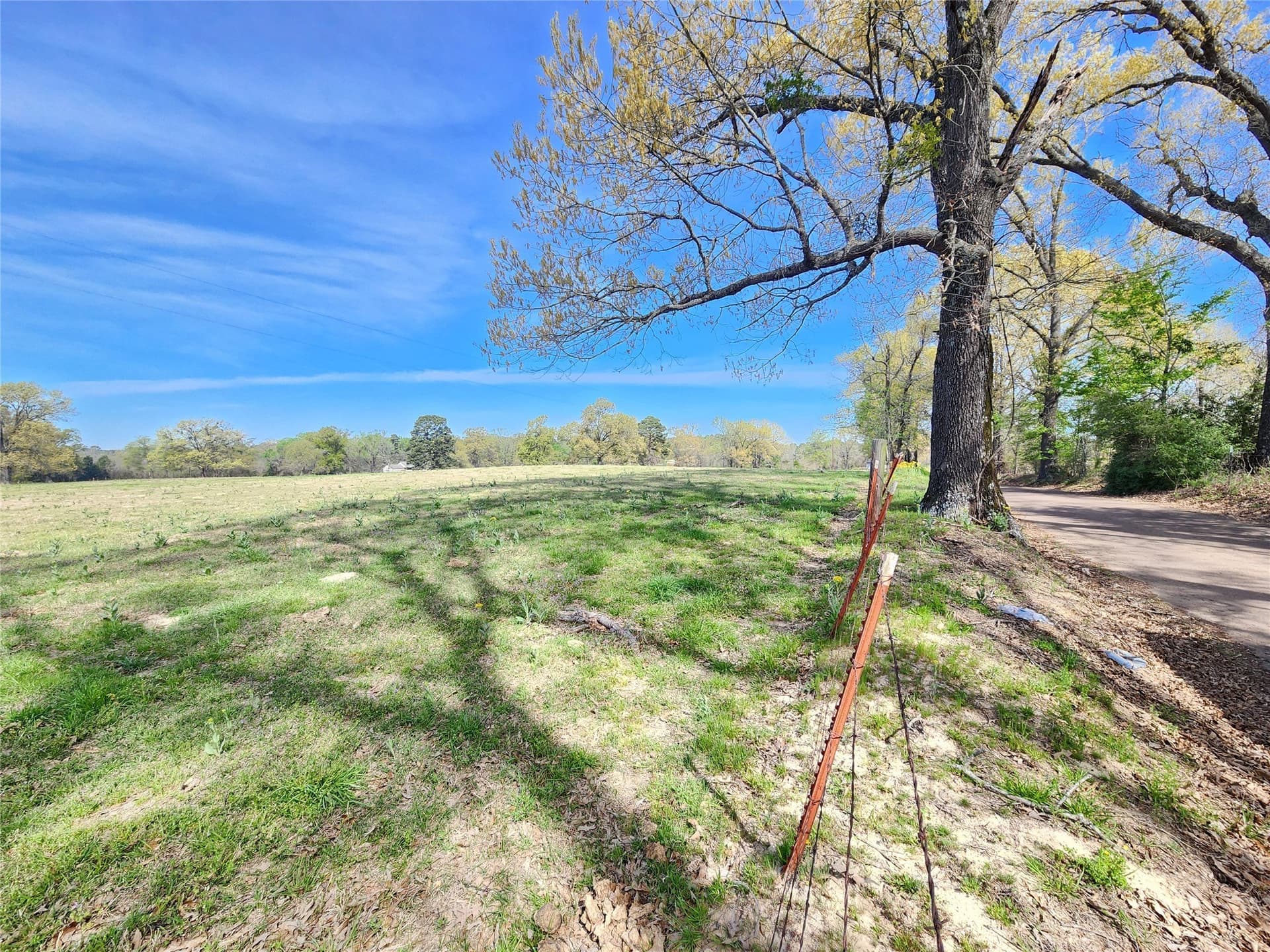 1.8 acres in Upshur County gallery image 4