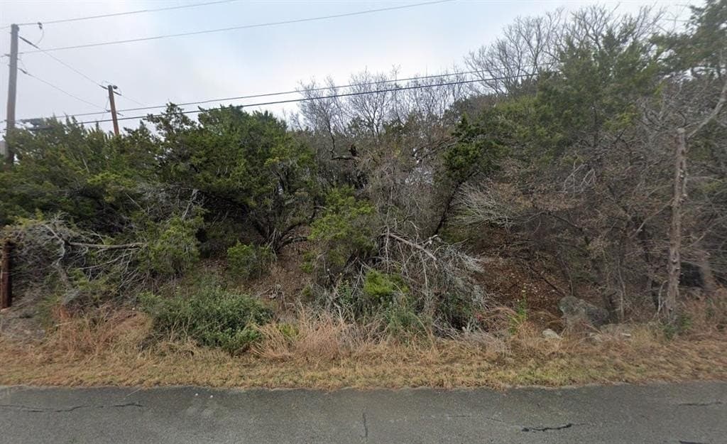 0.29 acres in Travis County gallery image 2