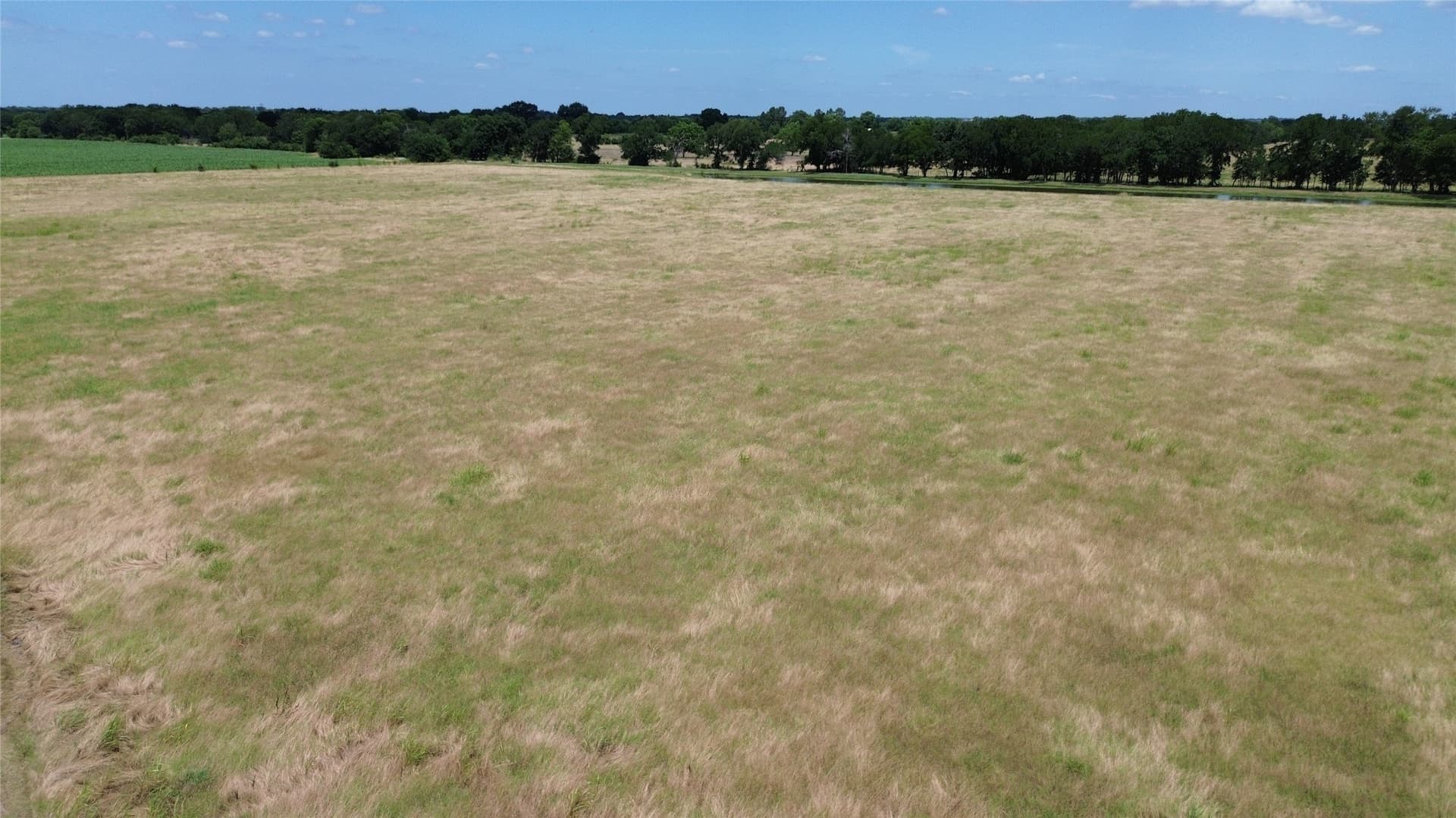 13.83 acres in Collin County - photo 10