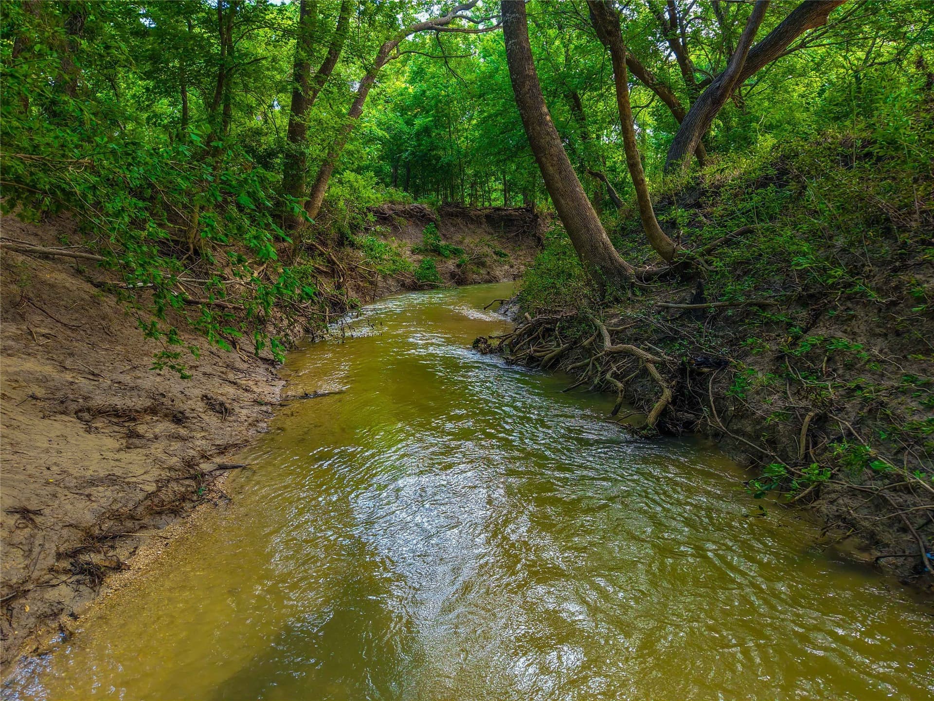75.5 acres in Falls County - photo 2