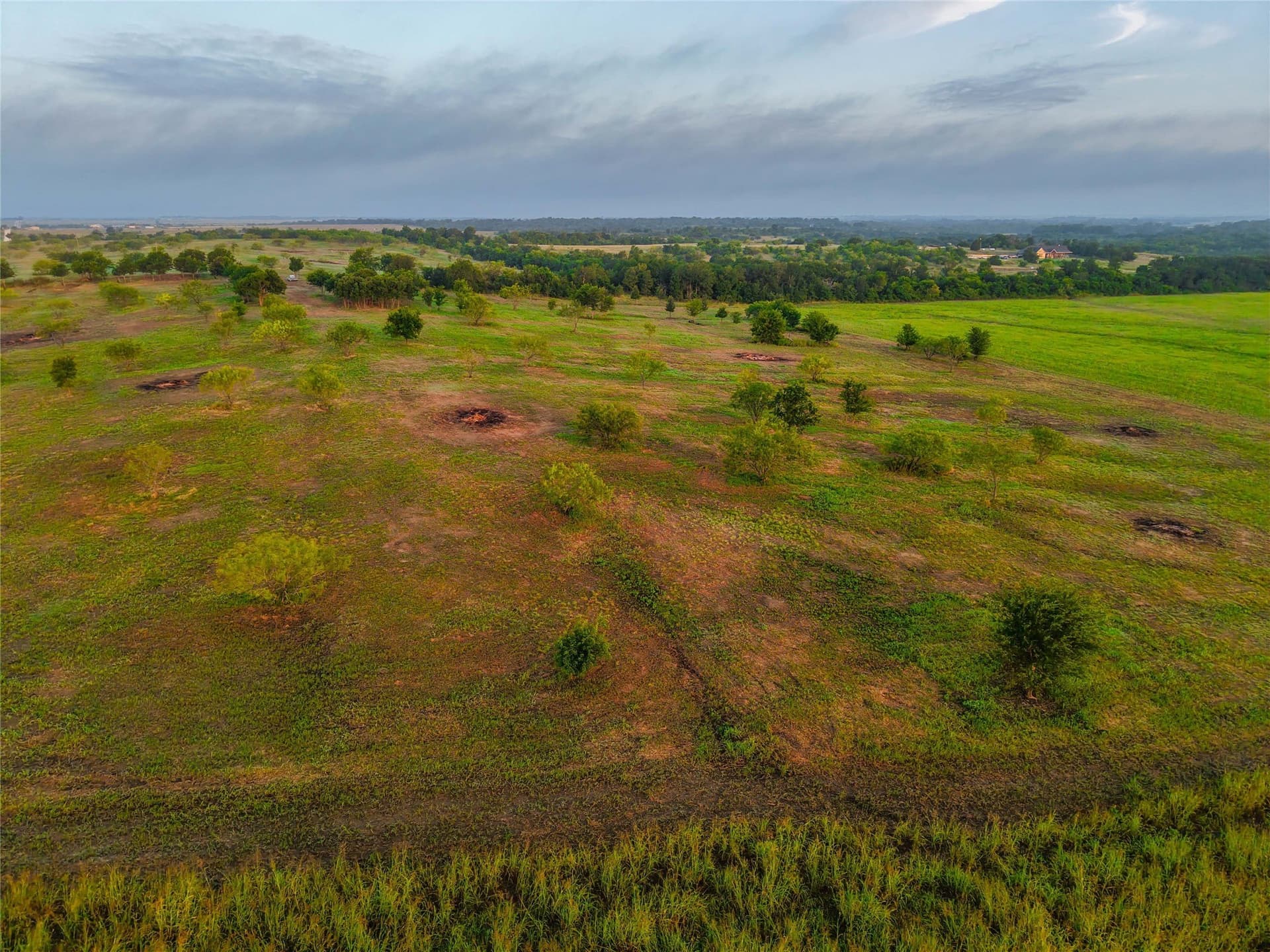 75.5 acres in Falls County - photo 15