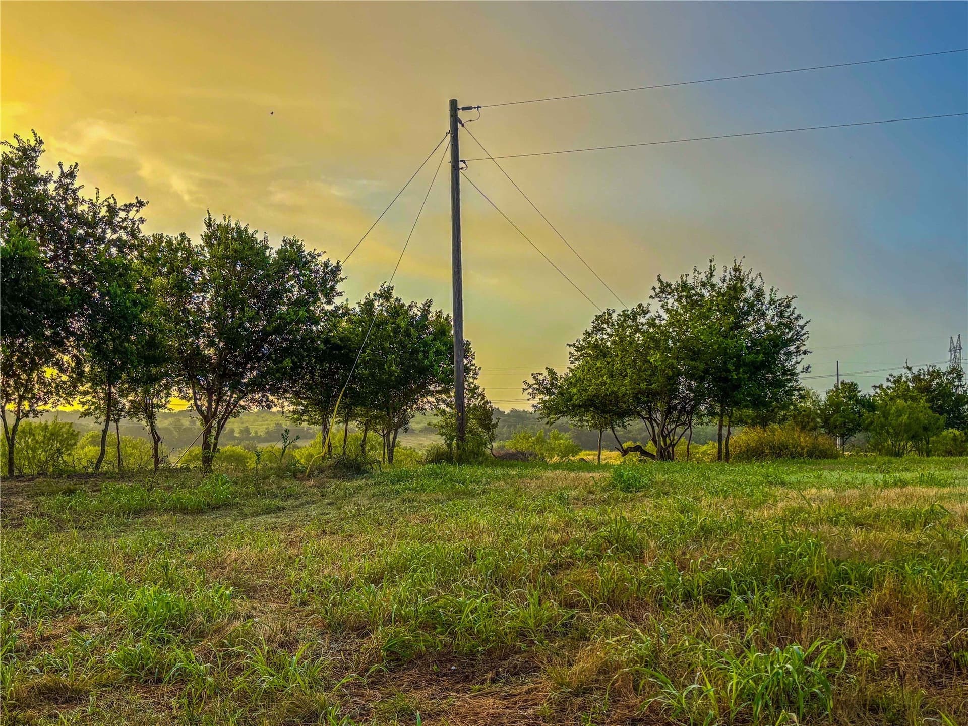 75.5 acres in Falls County - photo 30