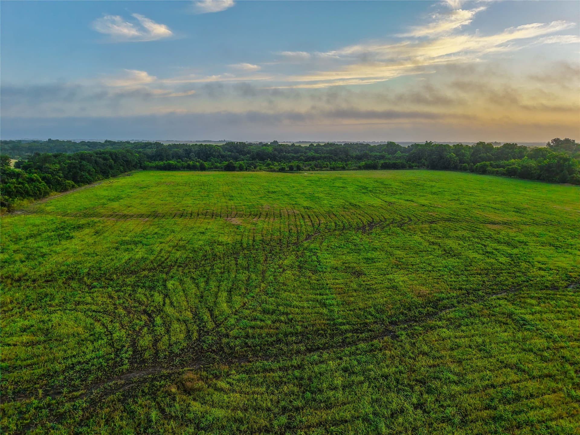 75.5 acres in Falls County - photo 13