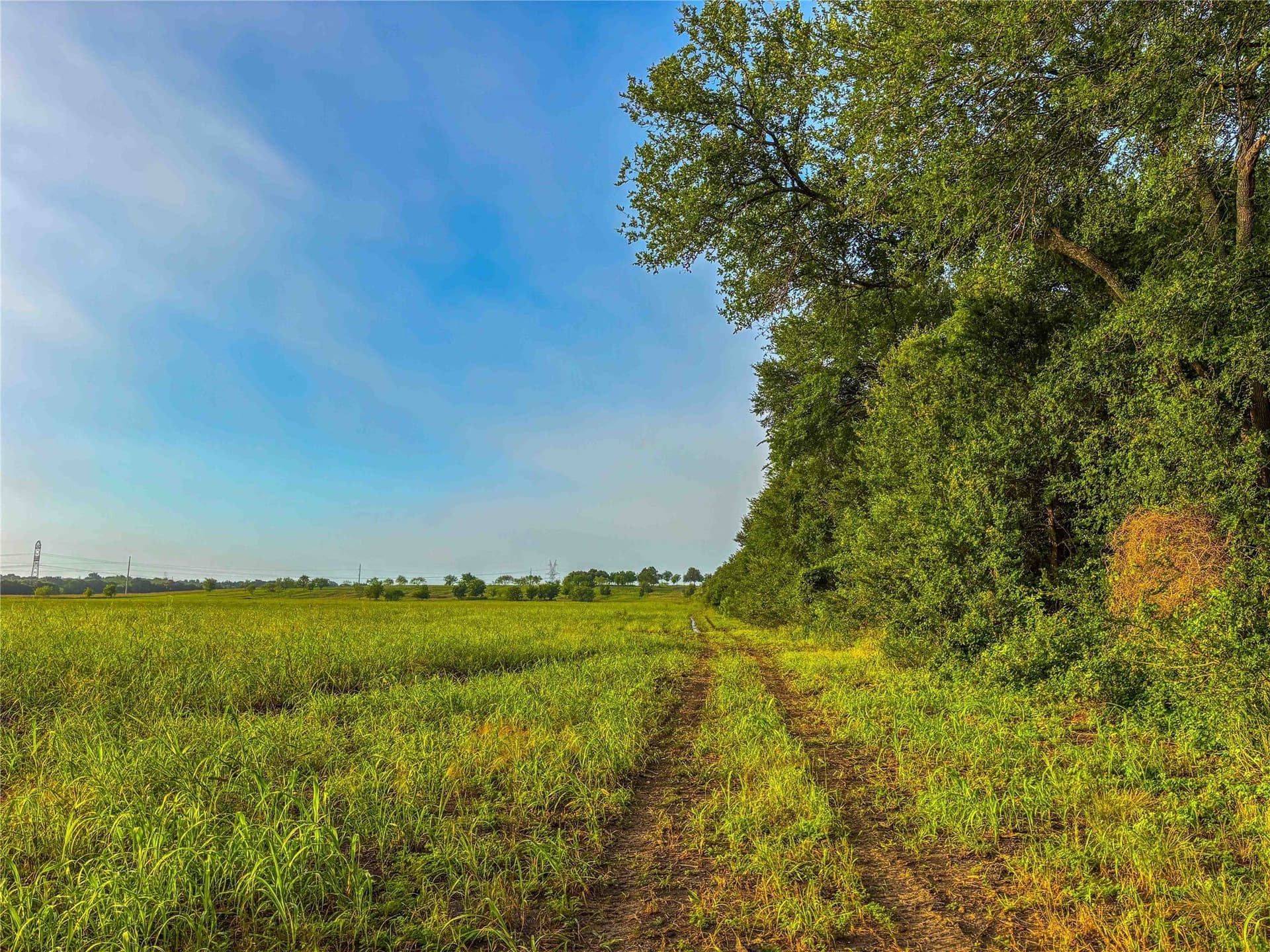 75.5 acres in Falls County - photo 38