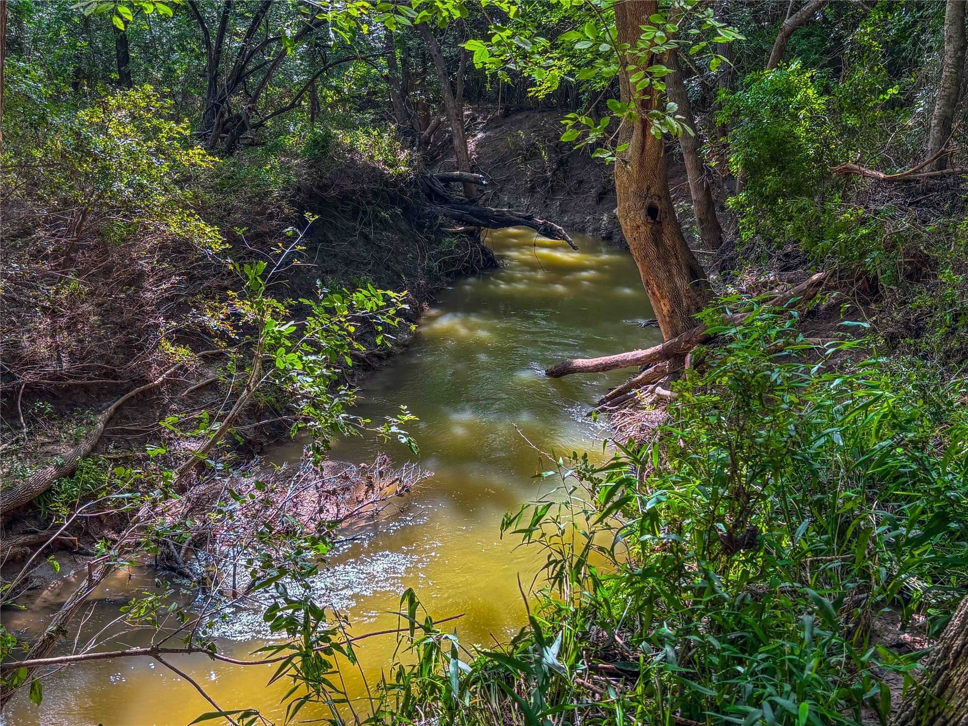 75.5 acres in Falls County - photo 7