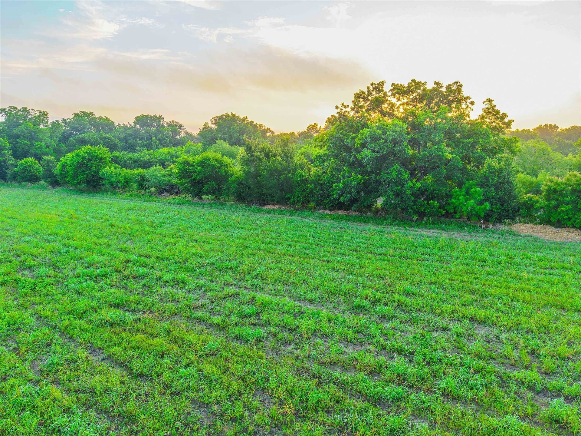 75.5 acres in Falls County - photo 14