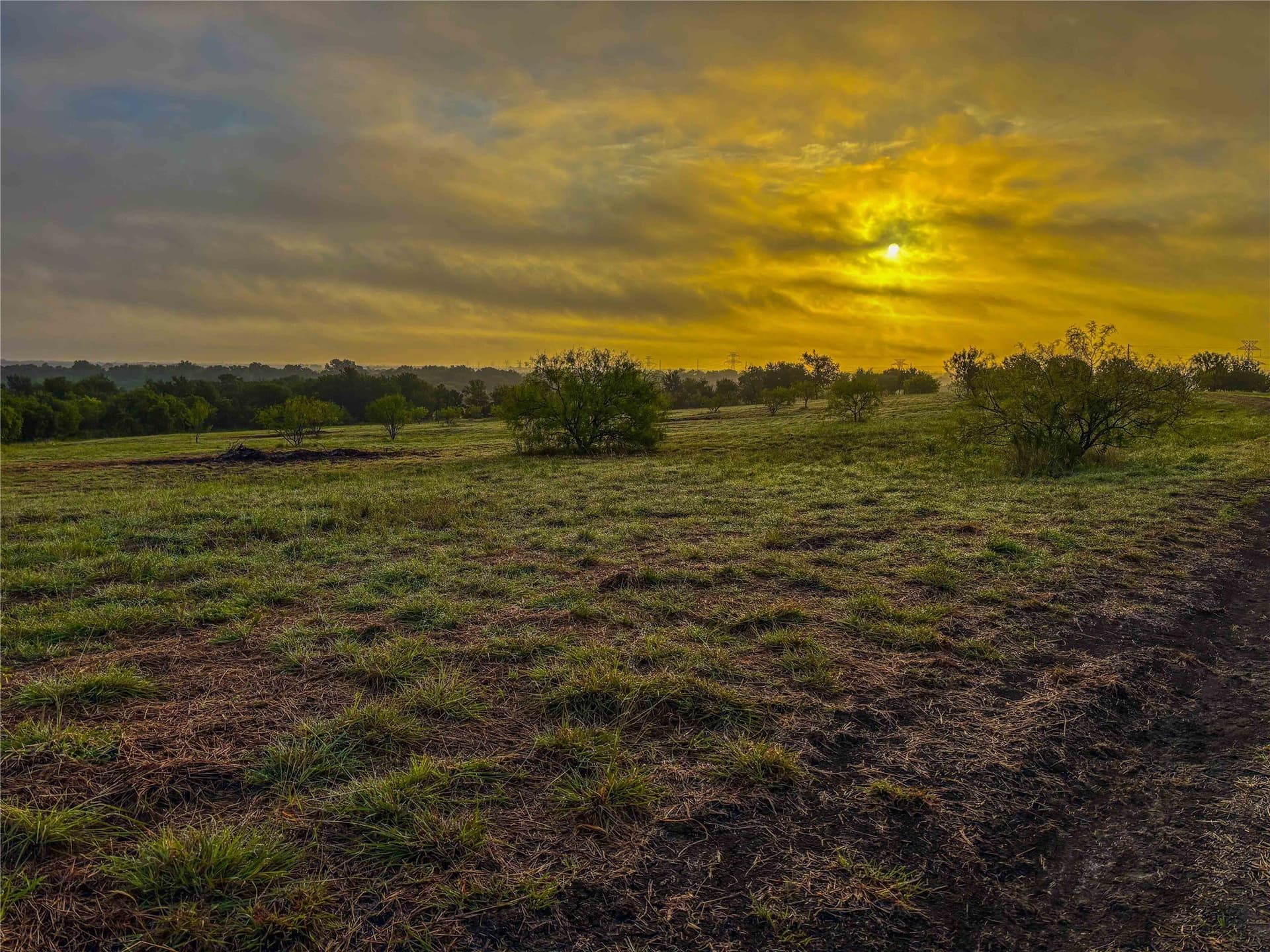 75.5 acres in Falls County - photo 28