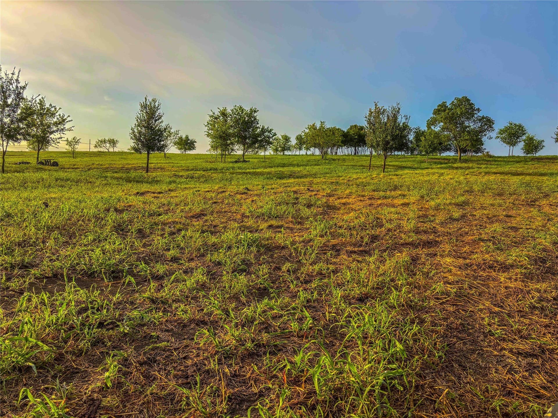 75.5 acres in Falls County - photo 40