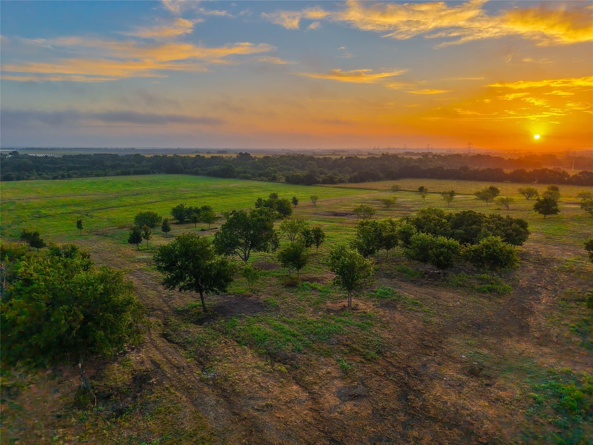 75.5 acres in Falls County - photo 12