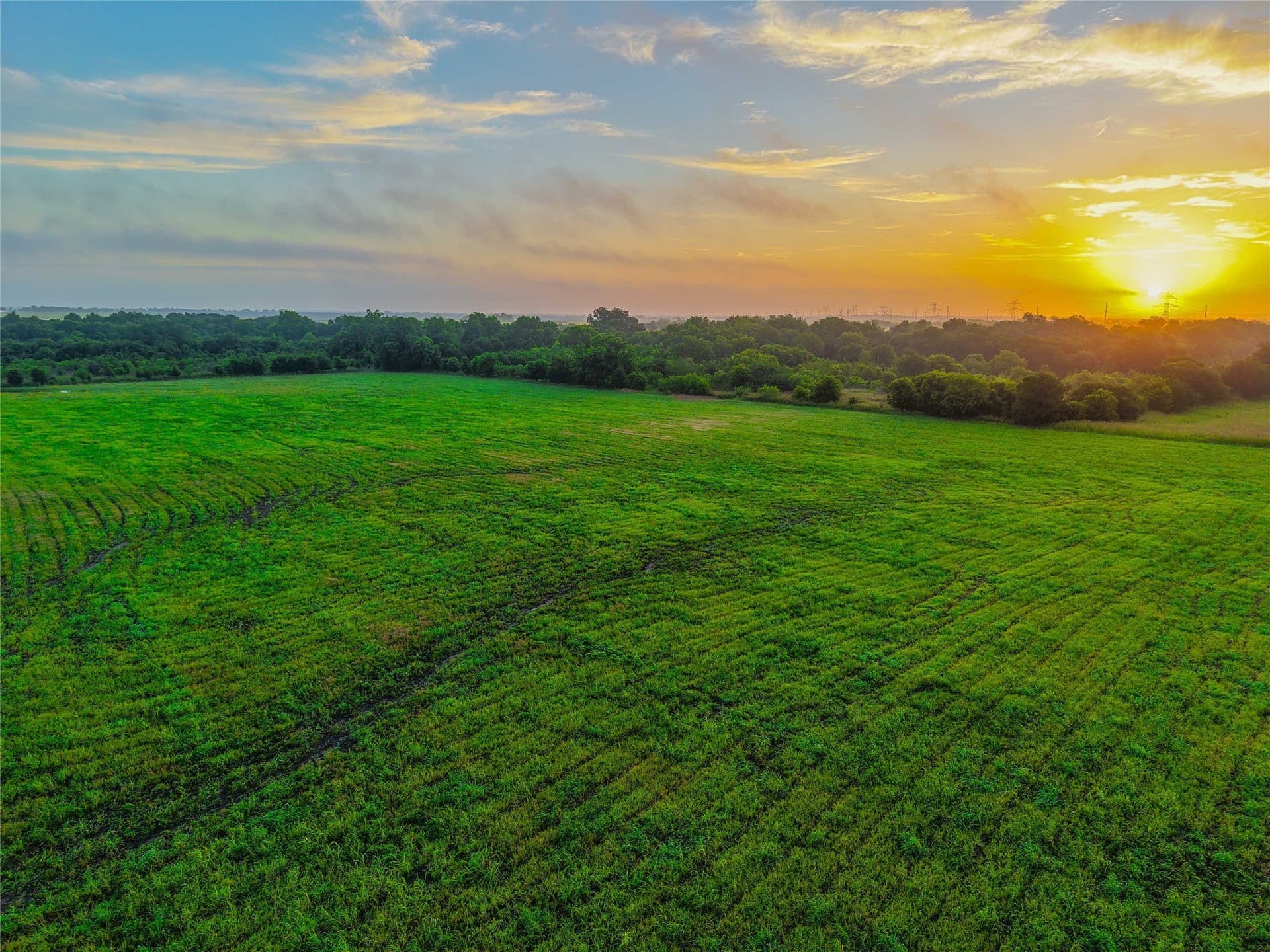 75.5 acres in Falls County - photo 4