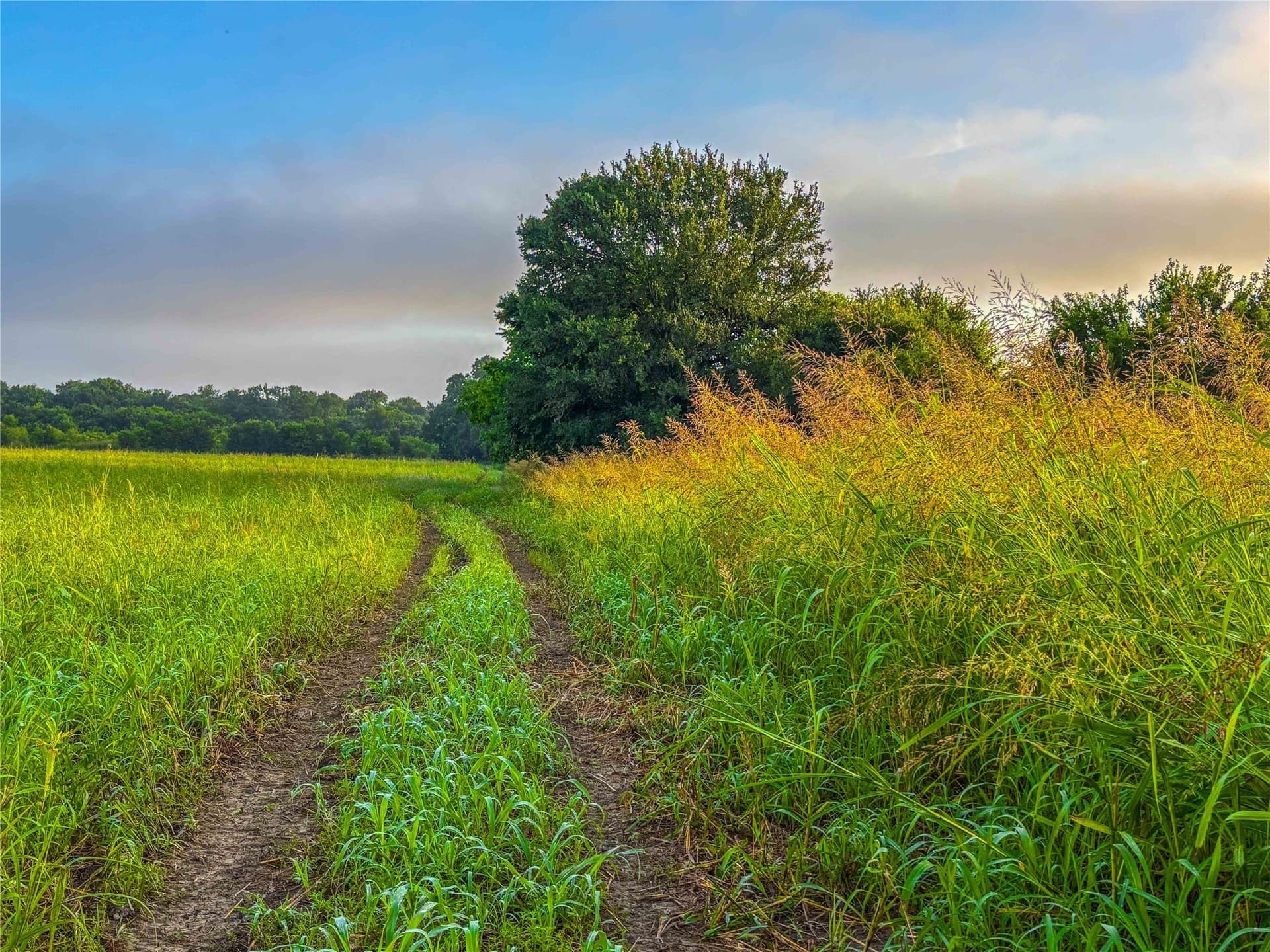 75.5 acres in Falls County - photo 32