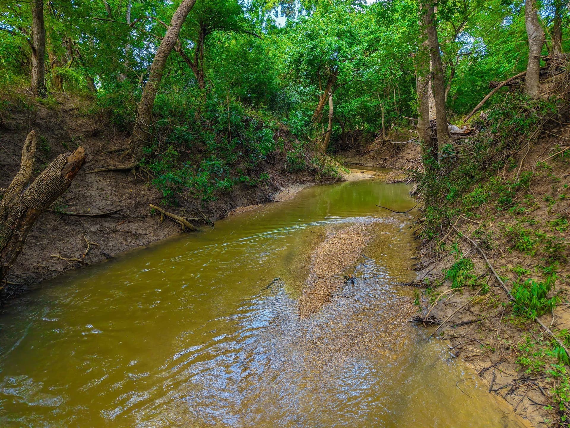 75.5 acres in Falls County - photo 34