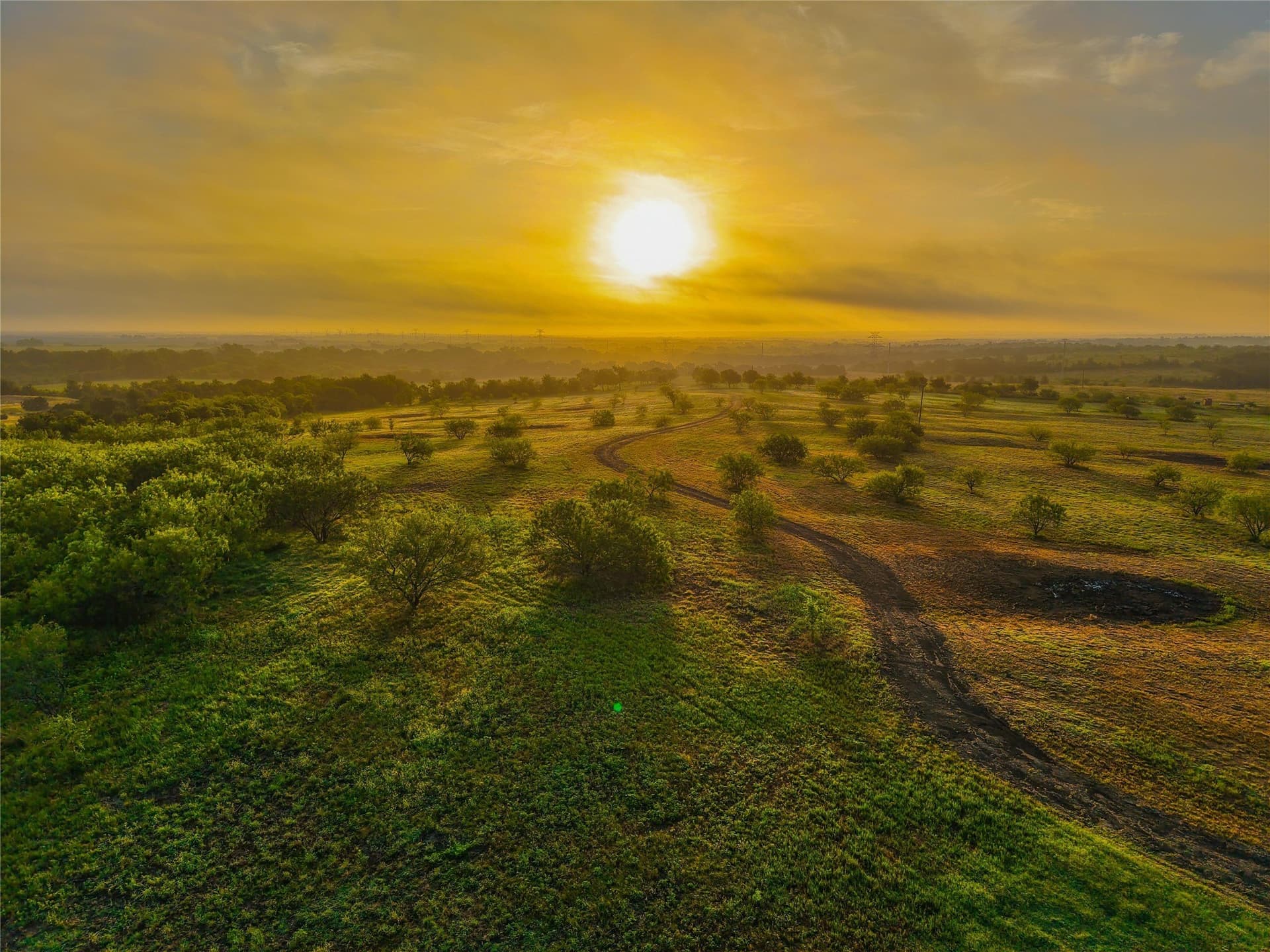 75.5 acres in Falls County - photo 27