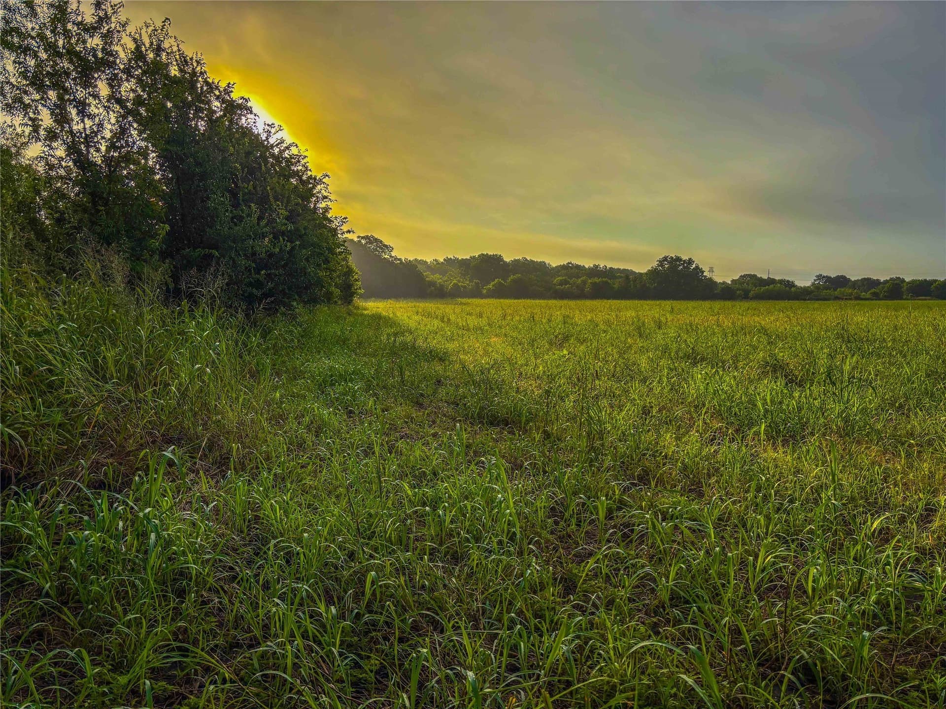 75.5 acres in Falls County - photo 39