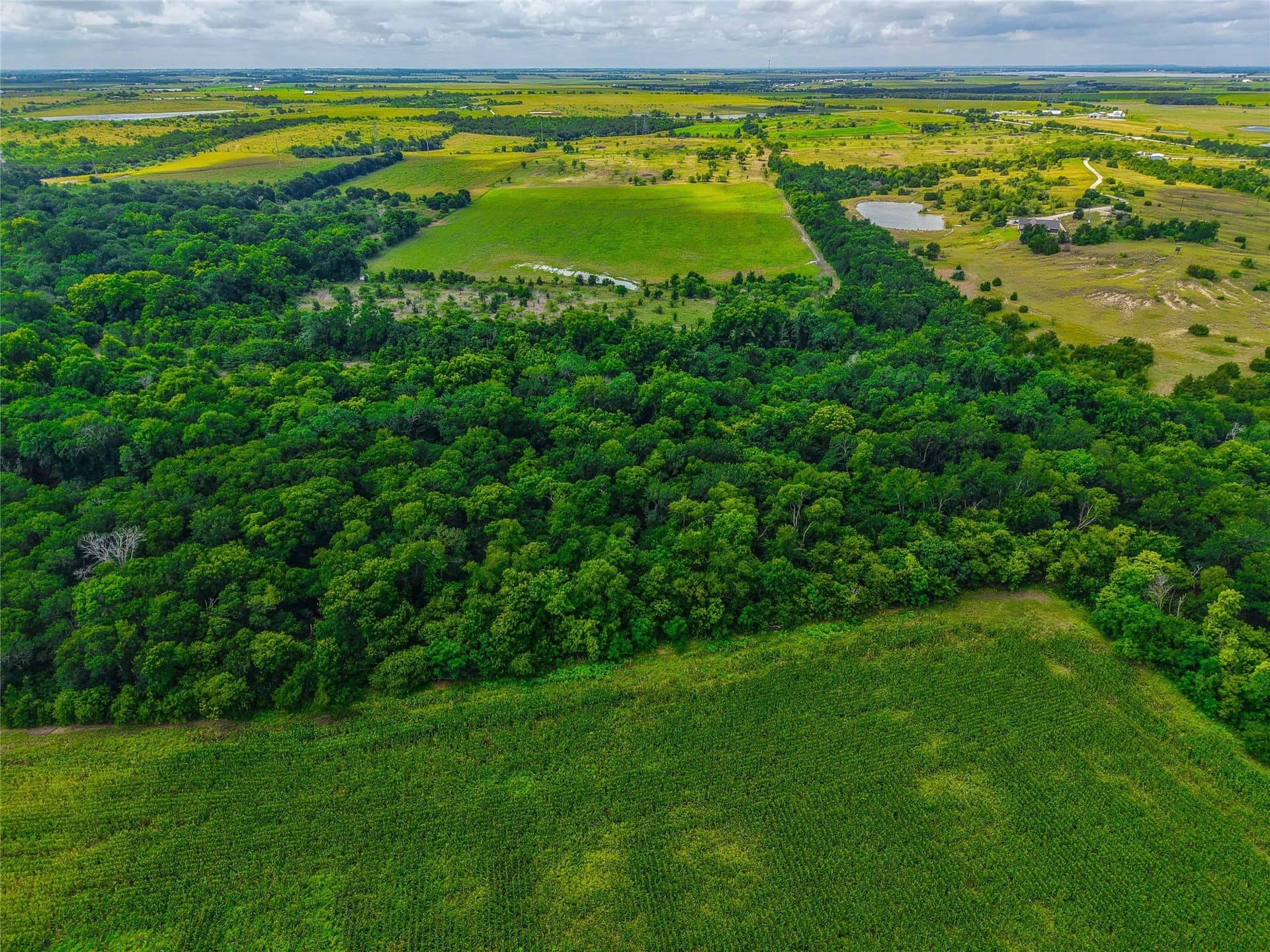 75.5 acres in Falls County - photo 3