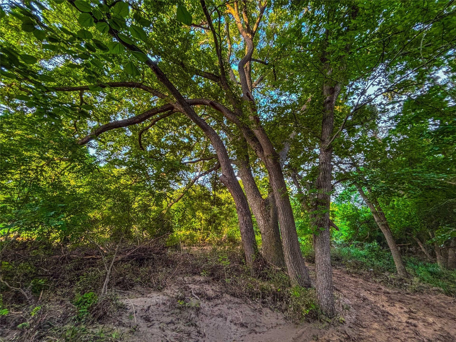75.5 acres in Falls County - photo 36