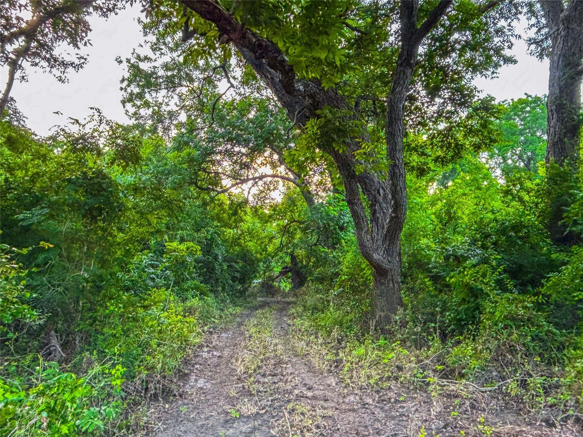 75.5 acres in Falls County - photo 33