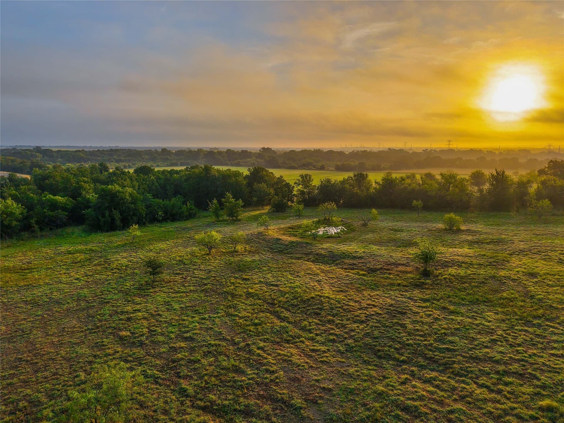 75.5 acres in Falls County - photo 5