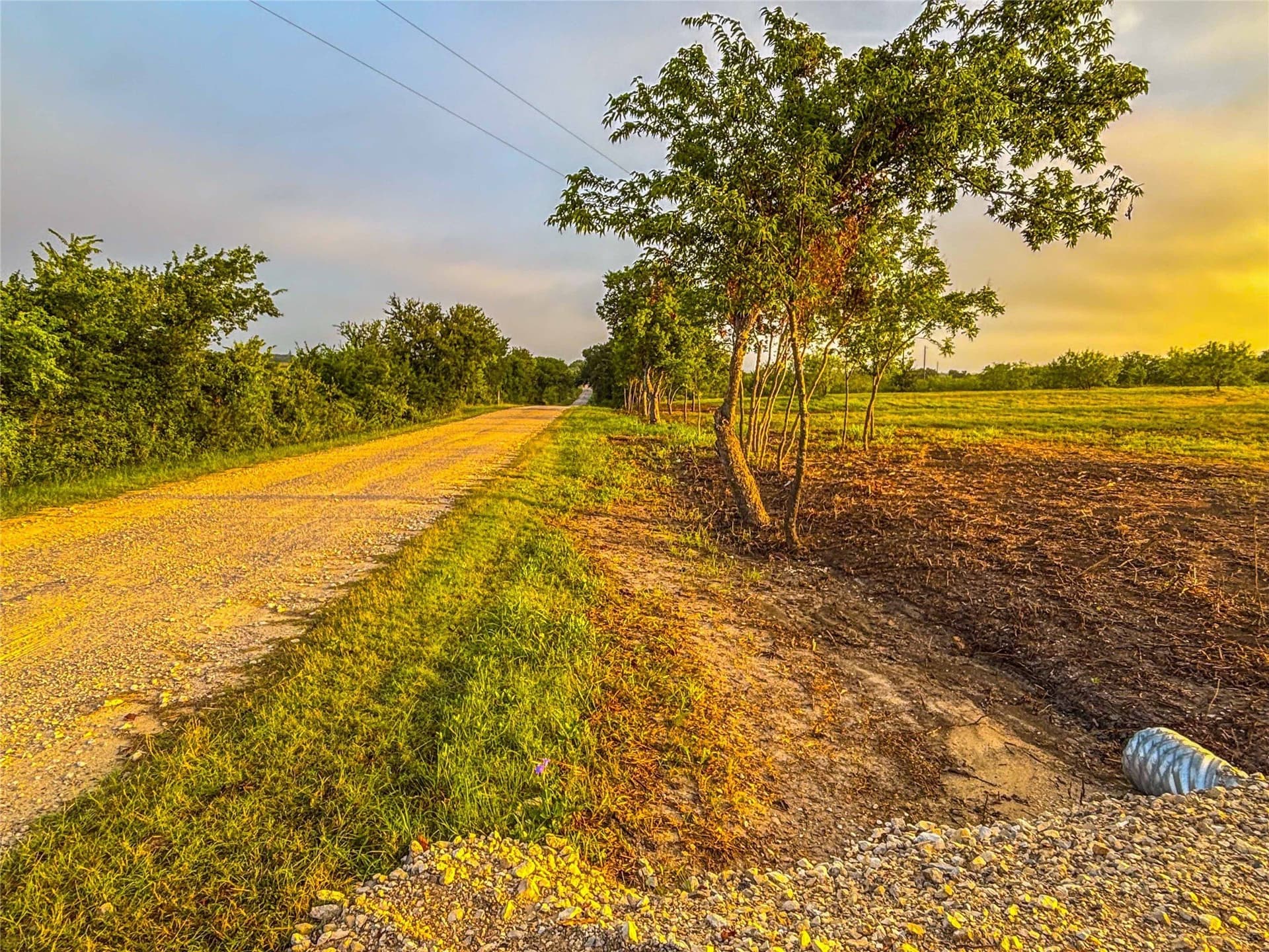 75.5 acres in Falls County - photo 26