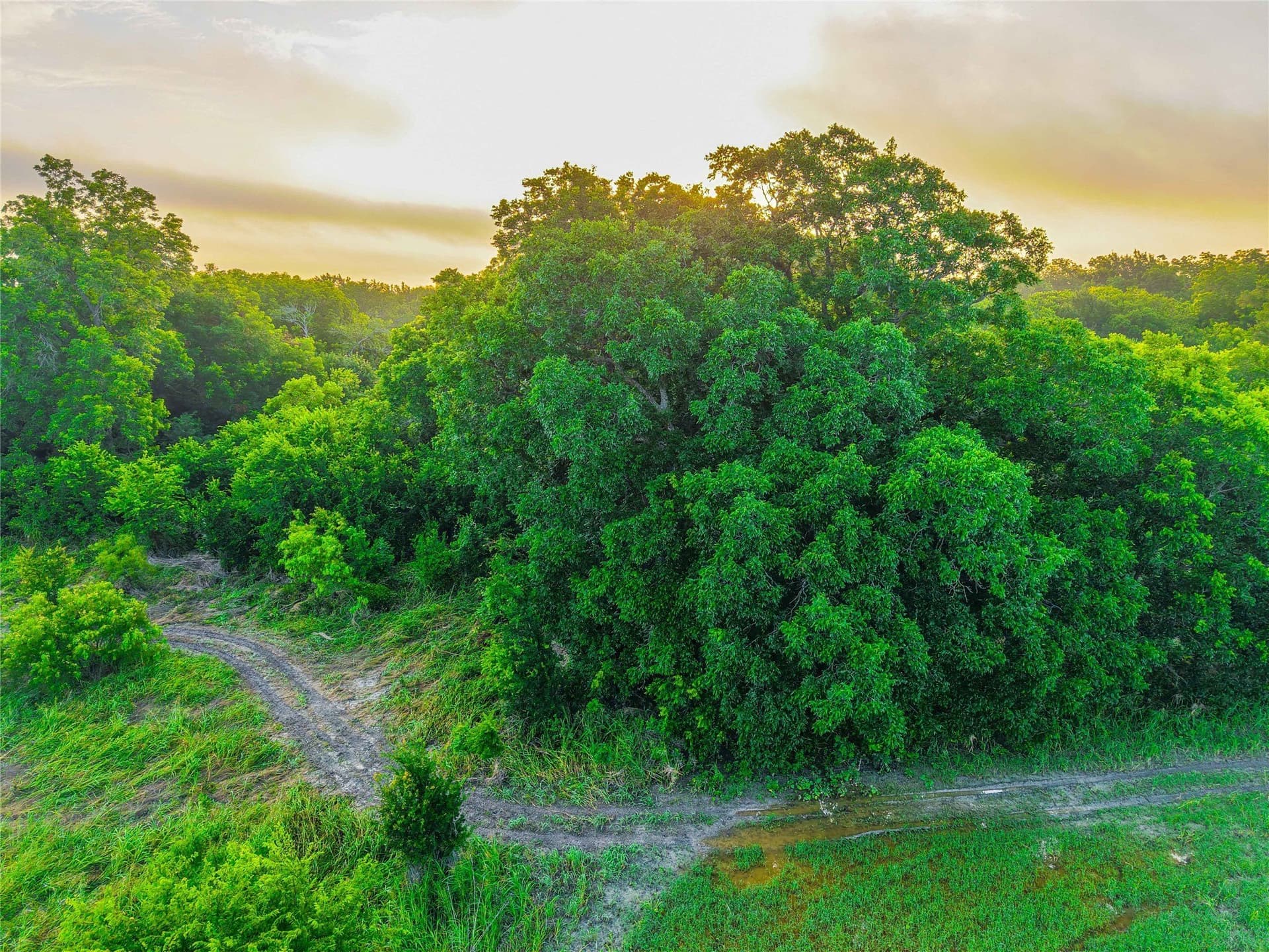 75.5 acres in Falls County - photo 19