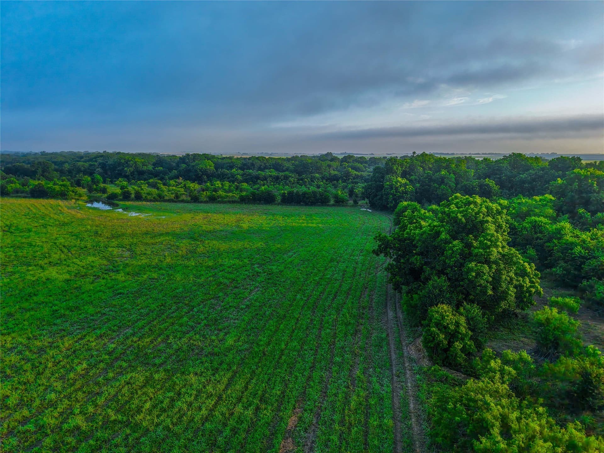 75.5 acres in Falls County - photo 37