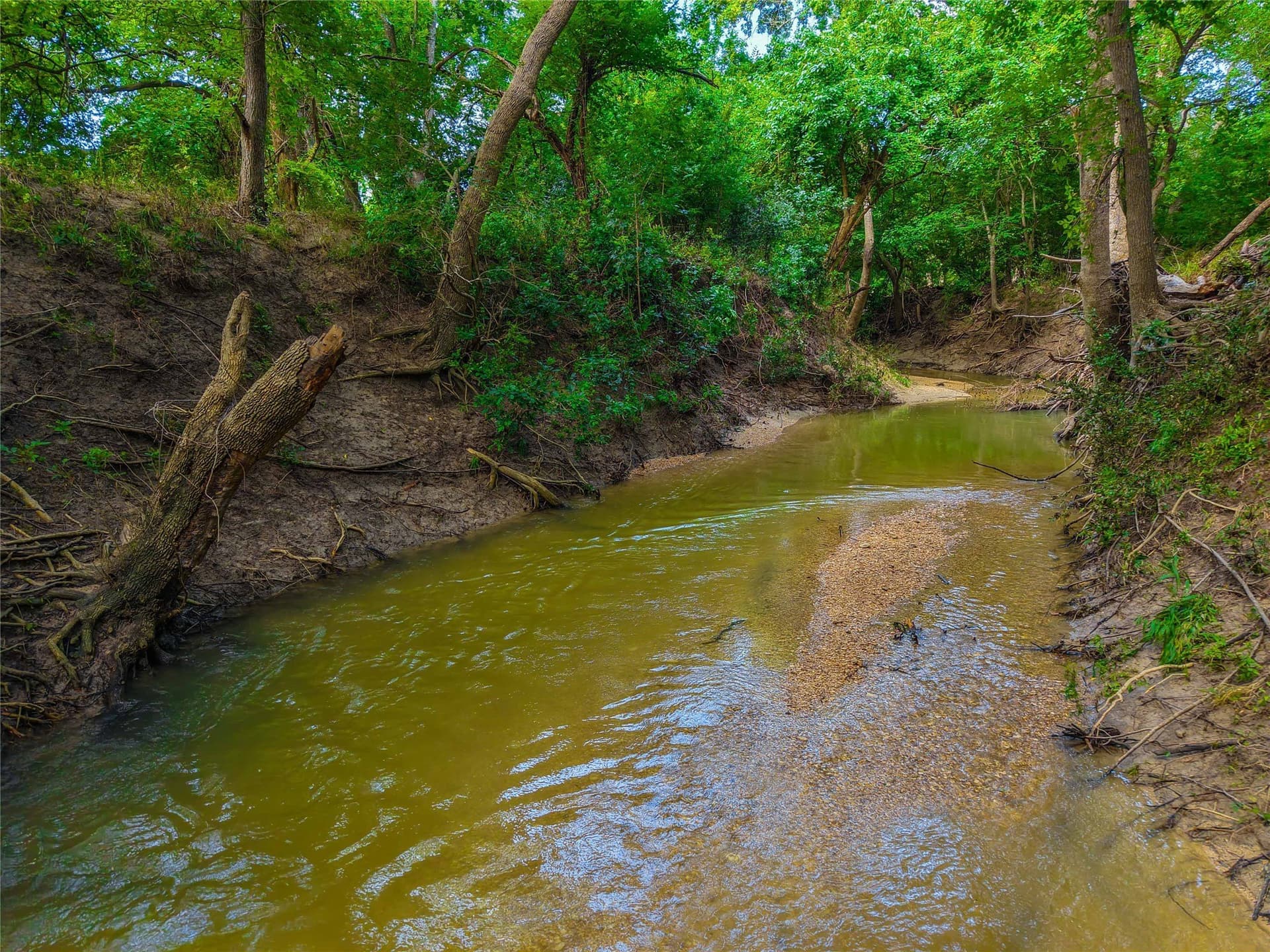 75.5 acres in Falls County - photo 35