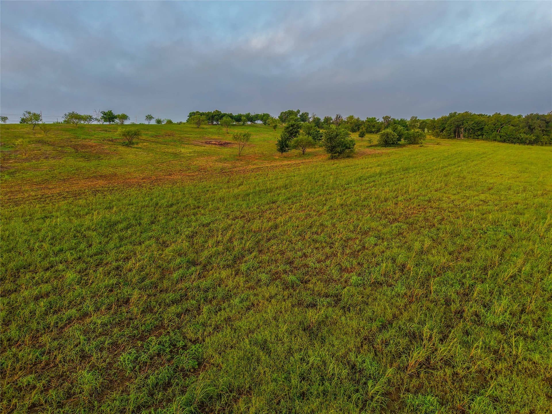 75.5 acres in Falls County - photo 22