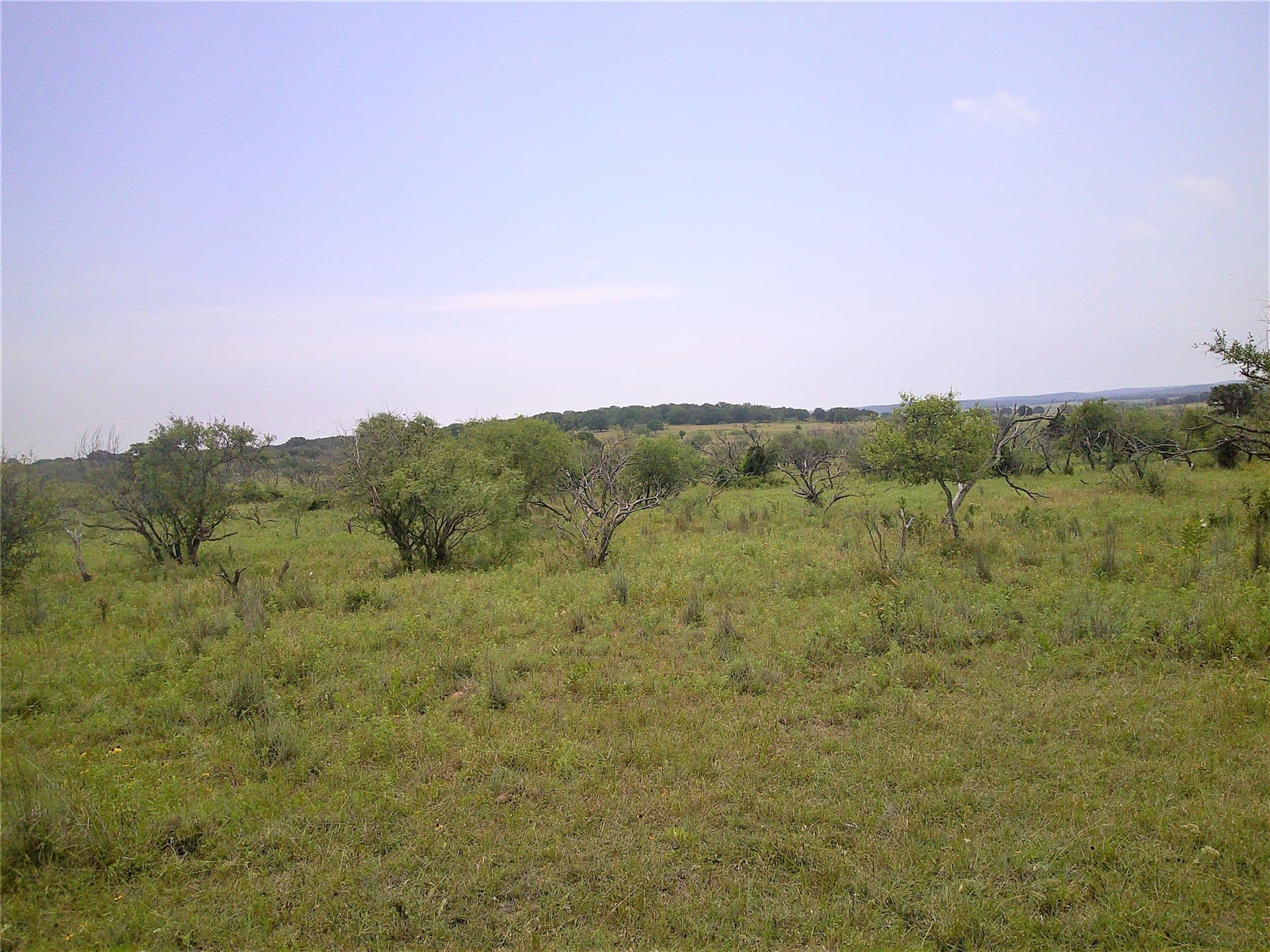 35 acres in Clay County gallery image 4