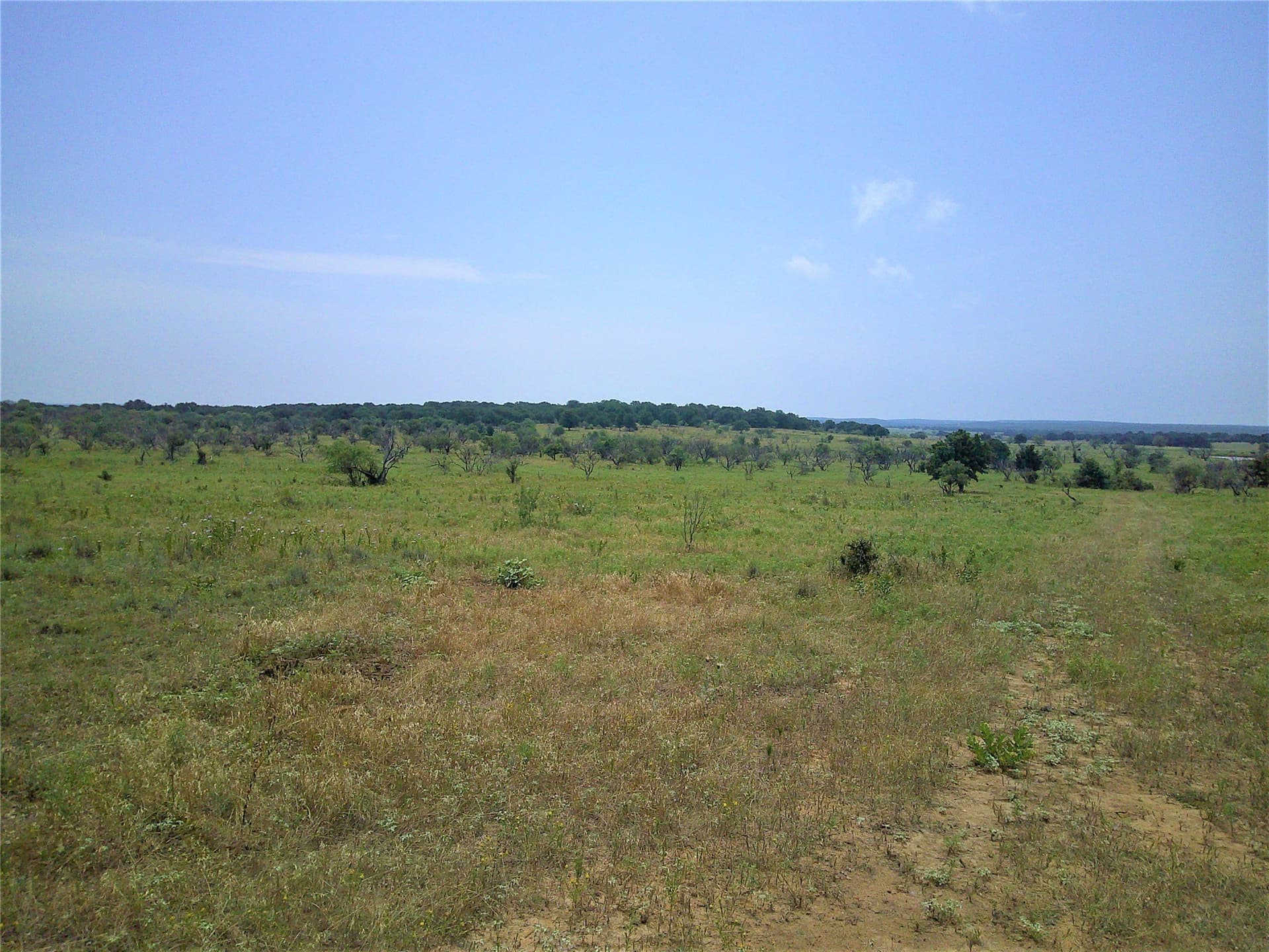 35 acres in Clay County gallery image 2