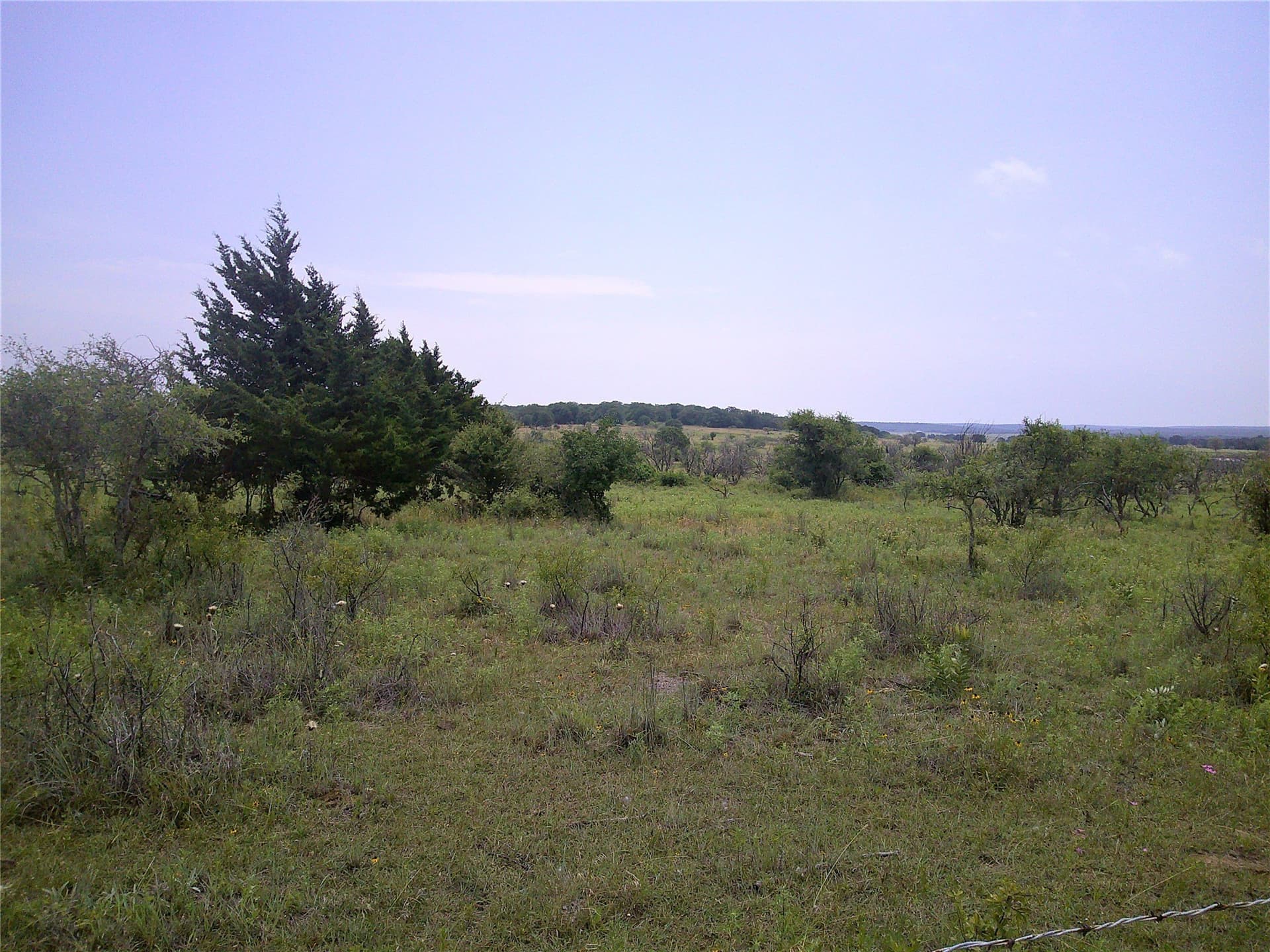 35 acres in Clay County gallery image 3