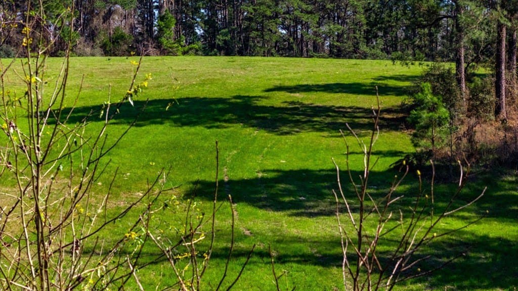66.44 acres in Texas County featured view