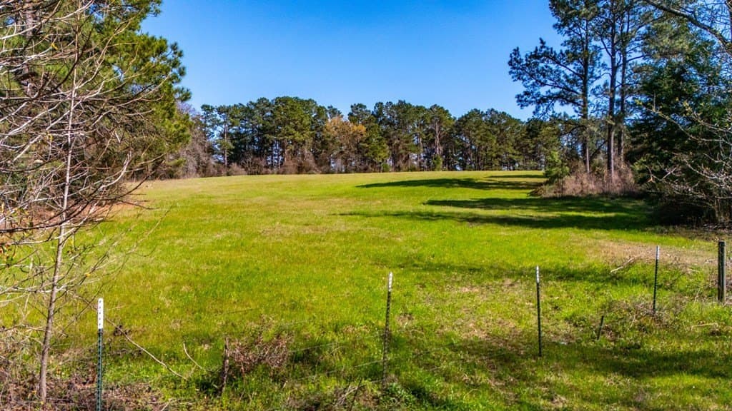 66.44 acres in Texas County gallery image 3