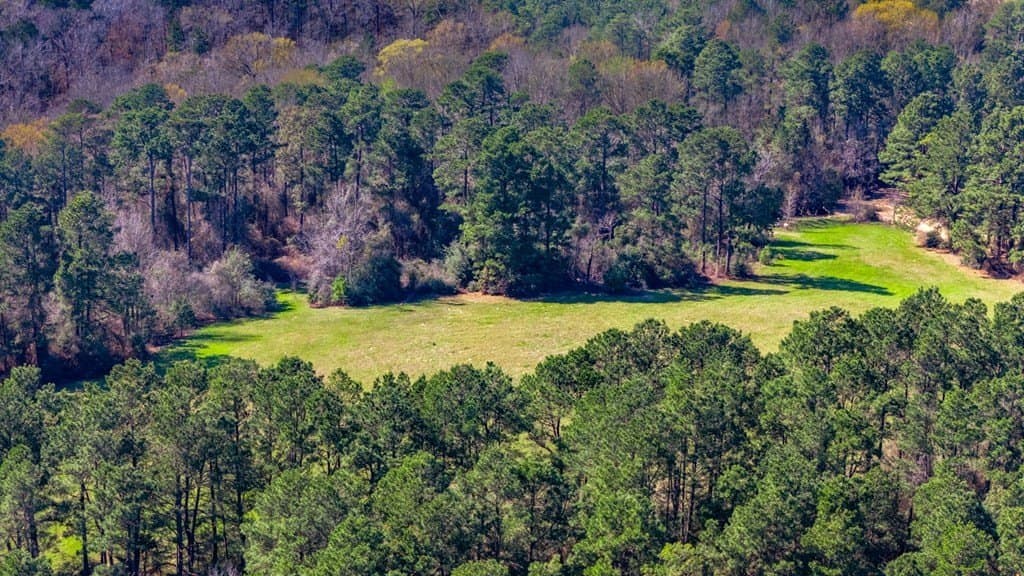 66.44 acres in Texas County - photo 16