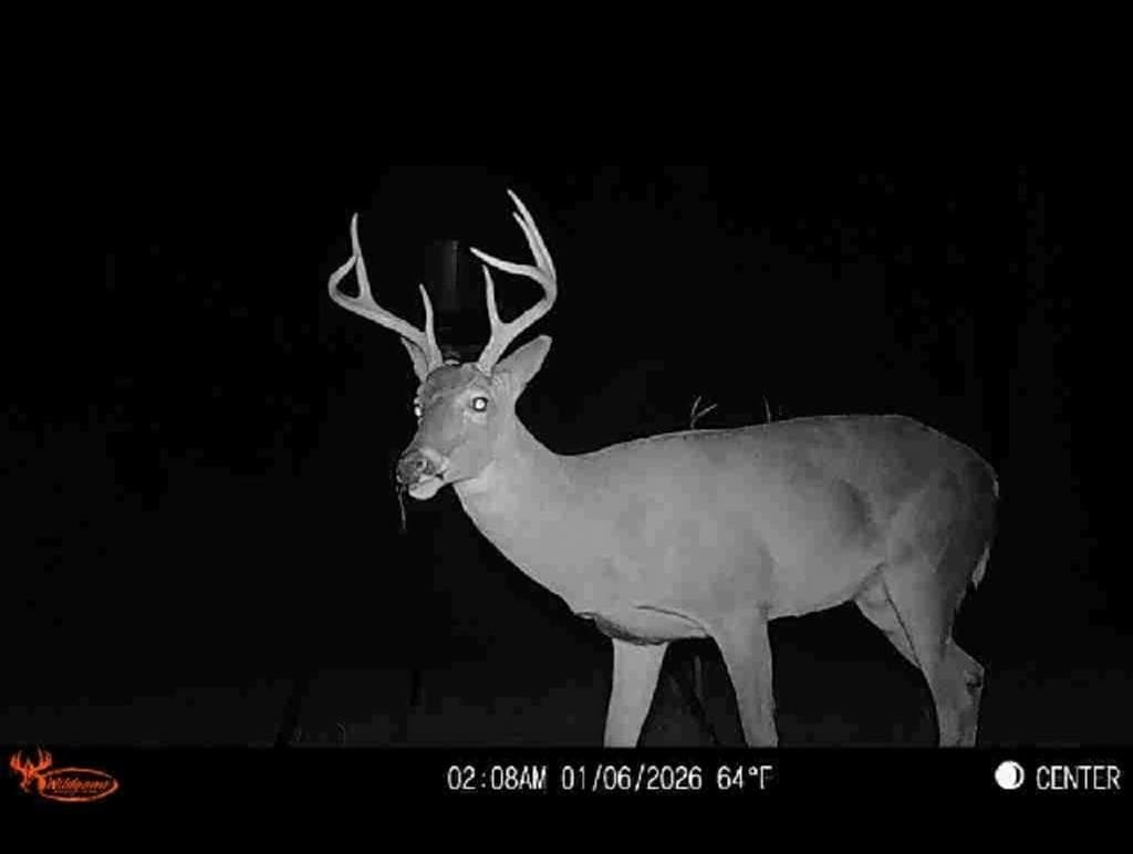 66.44 acres in Texas County - photo 22