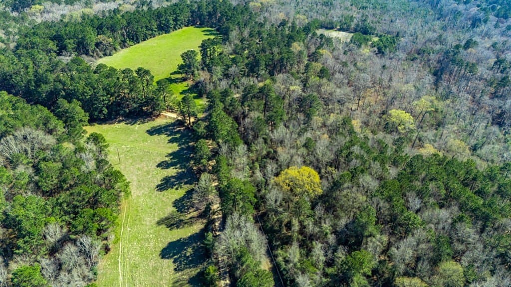 66.44 acres in Texas County - photo 10