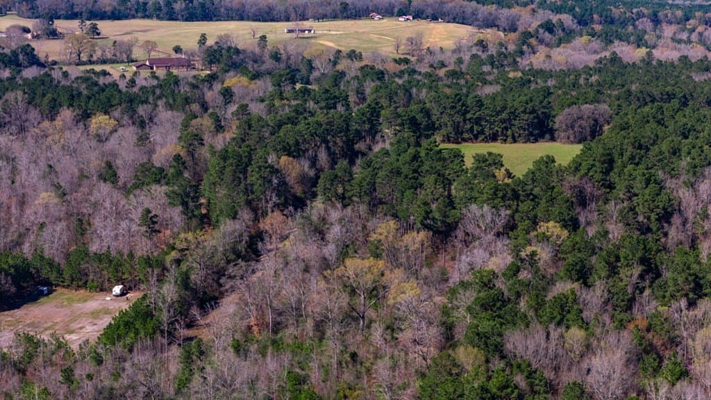 66.44 acres in Texas County - photo 15