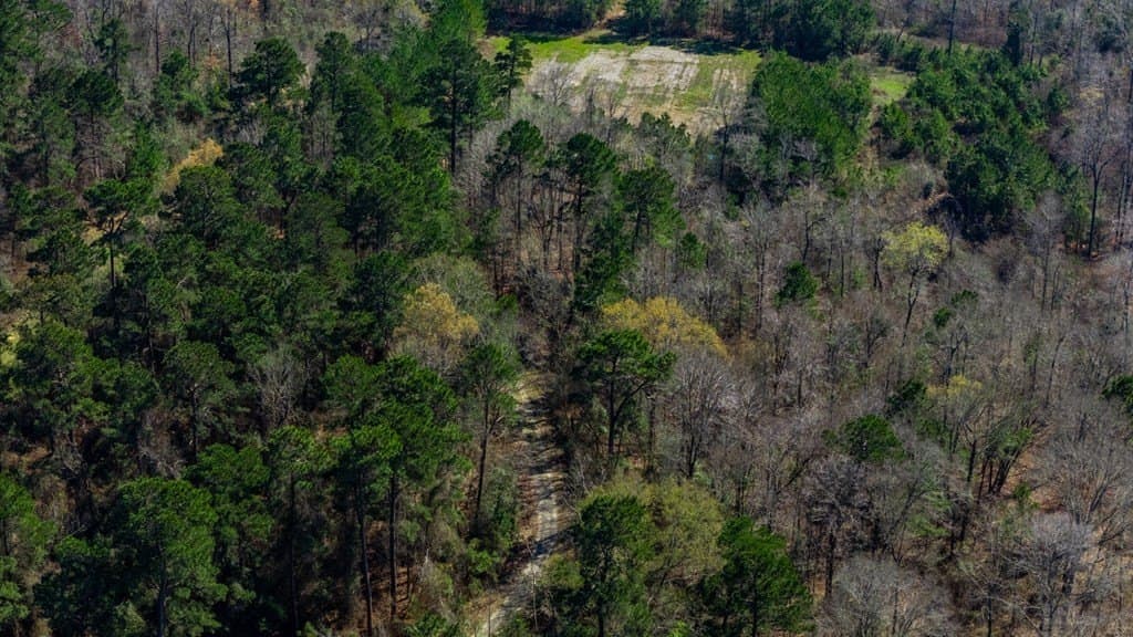66.44 acres in Texas County - photo 19